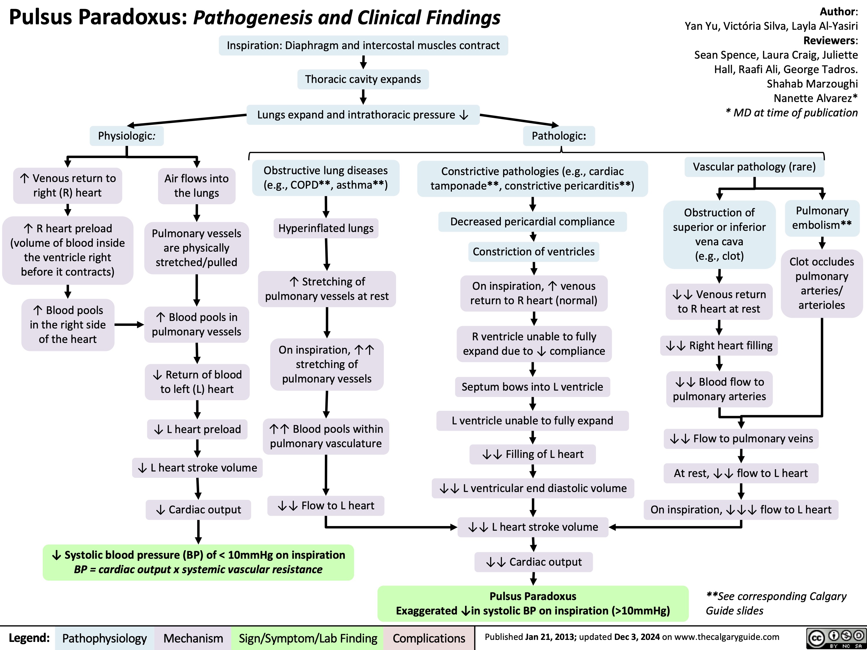 Pulsus Paradoxus: Pathogenesis and Clinical Findings Inspiration: Diaphragm and intercostal muscles contract
Author: Yan Yu, Victória Silva, Layla Al-Yasiri Reviewers: Sean Spence, Laura Craig, Juliette Hall, Raafi Ali, George Tadros. Shahab Marzoughi Nanette Alvarez* * MD at time of publication
Vascular pathology (rare)
  Thoracic cavity expands
Lungs expand and intrathoracic pressure ↓
     Physiologic:
↑ Venous return to right (R) heart
↑ R heart preload (volume of blood inside the ventricle right before it contracts)
↑ Blood pools in the right side of the heart
Obstructive lung diseases (e.g., COPD**, asthma**)
Hyperinflated lungs
↑ Stretching of pulmonary vessels at rest
On inspiration, ↑↑ stretching of pulmonary vessels
↑↑ Blood pools within pulmonary vasculature
↓↓ Flow to L heart
Pathologic: Constrictive pathologies (e.g., cardiac
tamponade**, constrictive pericarditis**) Decreased pericardial compliance
Constriction of ventricles
On inspiration, ↑ venous return to R heart (normal)
R ventricle unable to fully expand due to ↓ compliance
Septum bows into L ventricle
L ventricle unable to fully expand ↓↓ Filling of L heart
↓↓ L ventricular end diastolic volume
↓↓ L heart stroke volume ↓↓ Cardiac output Pulsus Paradoxus
Exaggerated ↓in systolic BP on inspiration (>10mmHg)
       Air flows into the lungs
Pulmonary vessels are physically stretched/pulled
↑ Blood pools in pulmonary vessels
↓ Return of blood to left (L) heart
↓ L heart preload
↓ L heart stroke volume
↓ Cardiac output
Obstruction of superior or inferior vena cava (e.g., clot)
↓↓ Venous return to R heart at rest
↓↓ Right heart filling
↓↓ Blood flow to pulmonary arteries
Pulmonary embolism**
Clot occludes pulmonary arteries/ arterioles
                          ↓↓ Flow to pulmonary veins
At rest, ↓↓ flow to L heart
On inspiration, ↓↓↓ flow to L heart
            ↓ Systolic blood pressure (BP) of < 10mmHg on inspiration
BP = cardiac output x systemic vascular resistance
  **See corresponding Calgary Guide slides
 Legend:
 Pathophysiology
Mechanism
Sign/Symptom/Lab Finding
 Complications
 Published Jan 21, 2013; updated Dec 3, 2024 on www.thecalgaryguide.com
   