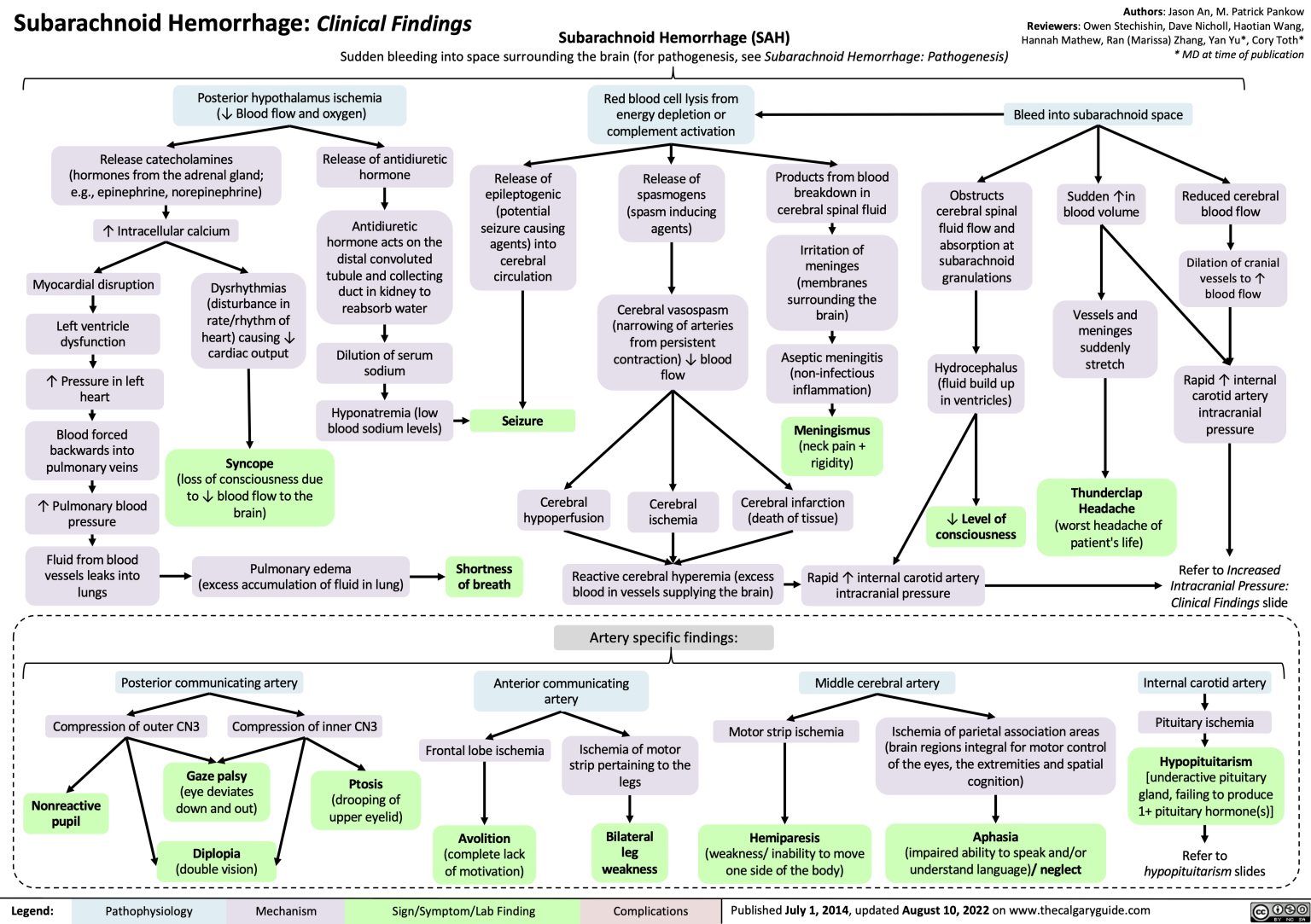 Subarachnoid Hemorrhage: Clinical Findings | Calgary Guide