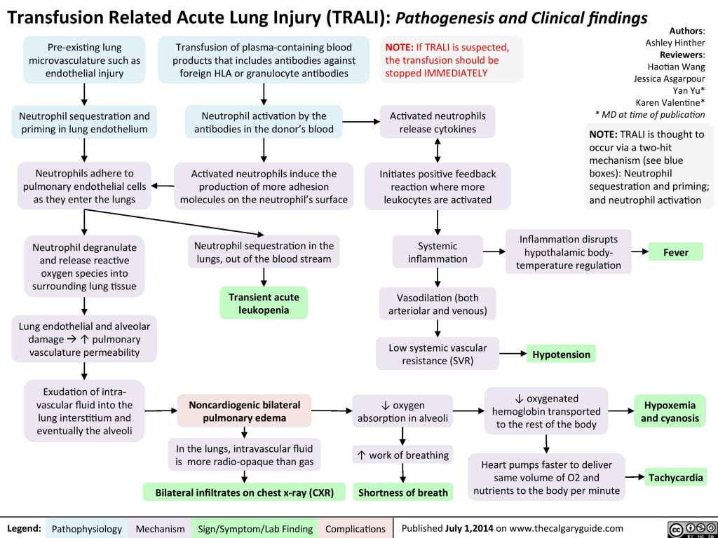 Transfusion Related Acute Lung Injury (TRALI): Pathogenesis and ...