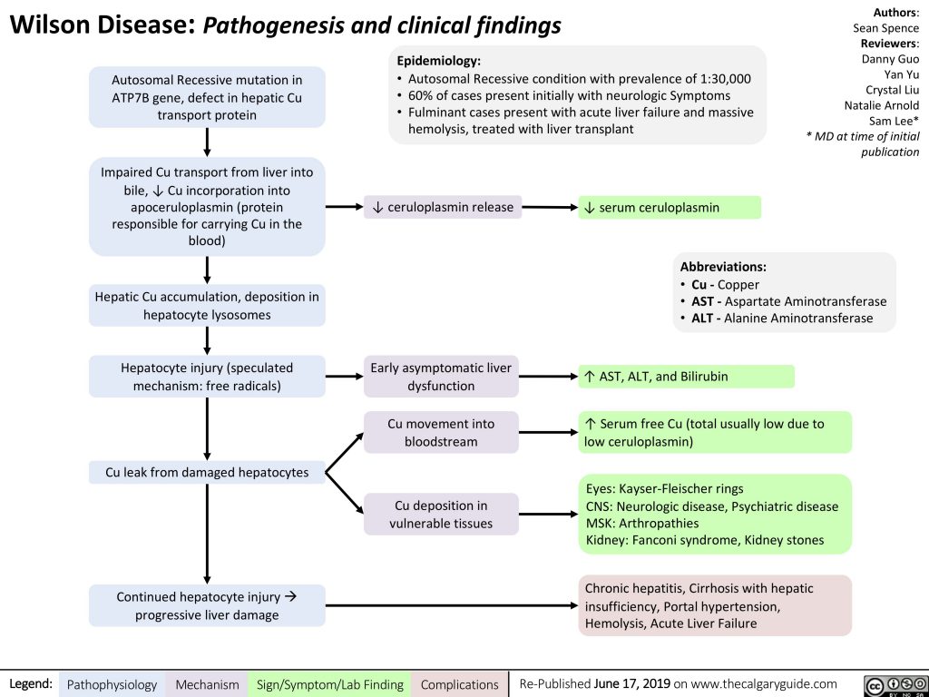 Wilson’s Disease | Calgary Guide