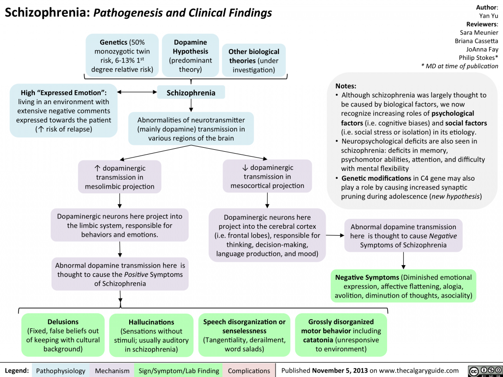 Schizophrenia Pathogenesis And Symptoms Calgary Guide