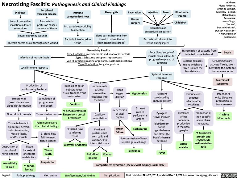 Necrotizing Fasciitis: Pathogenesis and Clinical Findings | Calgary Guide