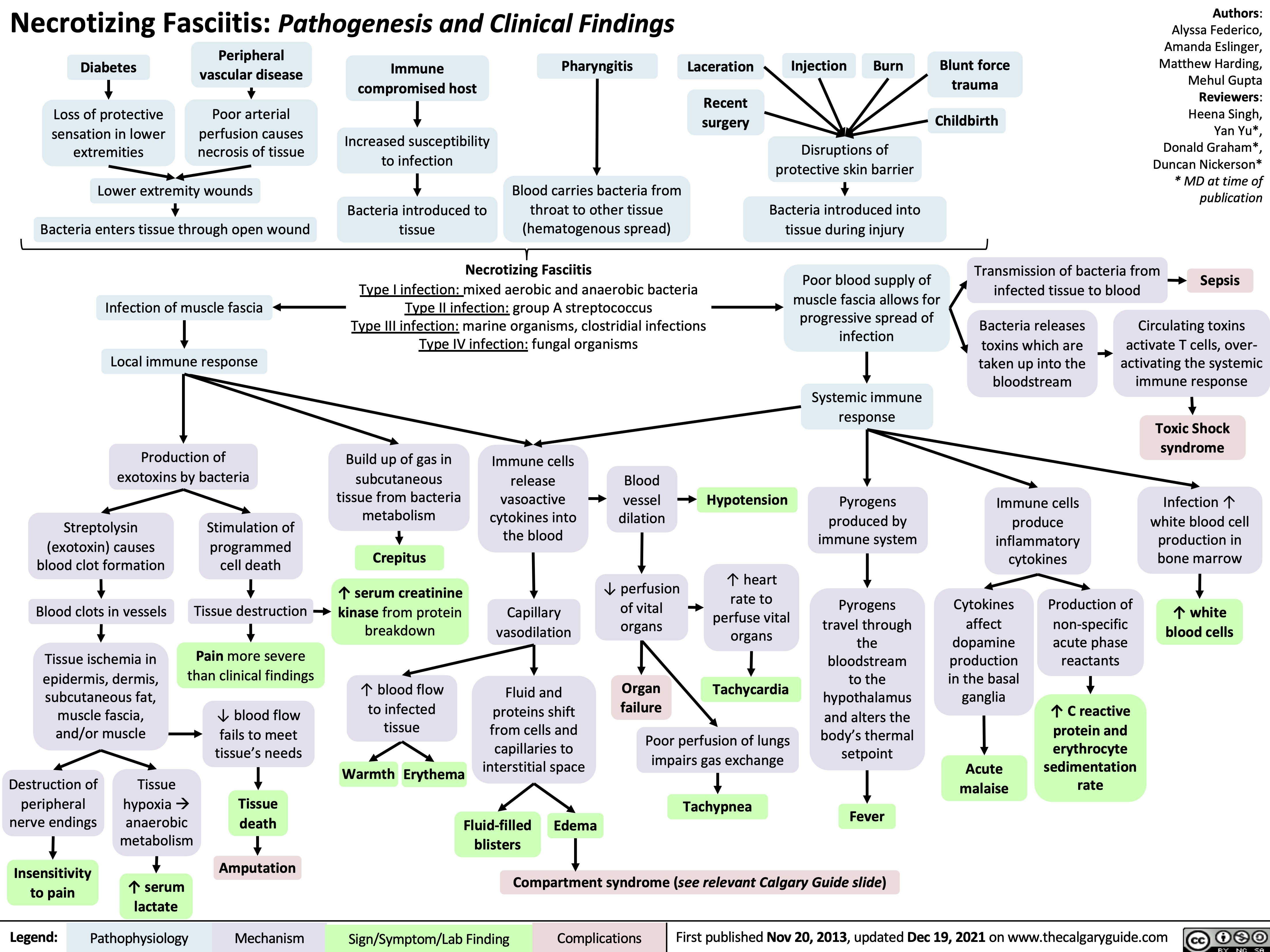 Necrotizing Fasciitis: Pathogenesis and Clinical Findings
Authors: Alyssa Federico, Amanda Eslinger, Matthew Harding, Mehul Gupta Reviewers: Heena Singh, Yan Yu*, Donald Graham*, Duncan Nickerson* * MD at time of publication
       Diabetes
Loss of protective sensation in lower extremities
Peripheral vascular disease
Poor arterial perfusion causes necrosis of tissue
Immune compromised host
Increased susceptibility to infection
Bacteria introduced to tissue
Pharyngitis
Blood carries bacteria from throat to other tissue (hematogenous spread)
Laceration
Recent surgery
Injection
Burn
Blunt force trauma
Childbirth
            Lower extremity wounds
Bacteria enters tissue through open wound
Infection of muscle fascia Local immune response
Production of exotoxins by bacteria
Disruptions of protective skin barrier
Bacteria introduced into tissue during injury
     Necrotizing Fasciitis
Type I infection: mixed aerobic and anaerobic bacteria Type II infection: group A streptococcus
Type III infection: marine organisms, clostridial infections Type IV infection: fungal organisms
Poor blood supply of muscle fascia allows for progressive spread of infection
Systemic immune response
Pyrogens produced by immune system
Pyrogens travel through
the bloodstream to the hypothalamus and alters the body’s thermal setpoint
Transmission of bacteria from infected tissue to blood
Sepsis
                                 Streptolysin (exotoxin) causes blood clot formation
Blood clots in vessels
Tissue ischemia in epidermis, dermis, subcutaneous fat, muscle fascia, and/or muscle
Stimulation of programmed cell death
Tissue destruction
Pain more severe than clinical findings
↓ blood flow fails to meet tissue’s needs
Tissue death
Build up of gas in subcutaneous
tissue from bacteria metabolism
Crepitus
↑ serum creatinine
kinase from protein breakdown
↑ blood flow to infected tissue
Warmth Erythema
Immune cells release vasoactive cytokines into the blood
Capillary vasodilation
Fluid and proteins shift from cells and capillaries to interstitial space
Blood
vessel dilation
↓ perfusion of vital organs
Organ failure
Hypotension
↑ heart rate to perfuse vital organs
Tachycardia
Bacteria releases toxins which are taken up into the bloodstream
Immune cells produce inflammatory cytokines
Circulating toxins activate T cells, over- activating the systemic immune response
Toxic Shock syndrome
Infection ↑ white blood cell production in bone marrow
↑ white blood cells
                         Destructionof peripheral nerve endings
Insensitivity to pain
Tissue hypoxia à anaerobic metabolism
Poor perfusion of lungs impairs gas exchange
Tachypnea
Cytokines affect dopamine production in the basal ganglia
Acute malaise
Production of non-specific acute phase reactants
↑ C reactive protein and erythrocyte sedimentation rate
 Fluid-filled blisters
Edema
Fever Compartment syndrome (see relevant Calgary Guide slide)
  Amputation ↑ serum
lactate
    Legend:
 Pathophysiology
 Mechanism
 Sign/Symptom/Lab Finding
 Complications
First published Nov 20, 2013, updated Dec 19, 2021 on www.thecalgaryguide.com
  
