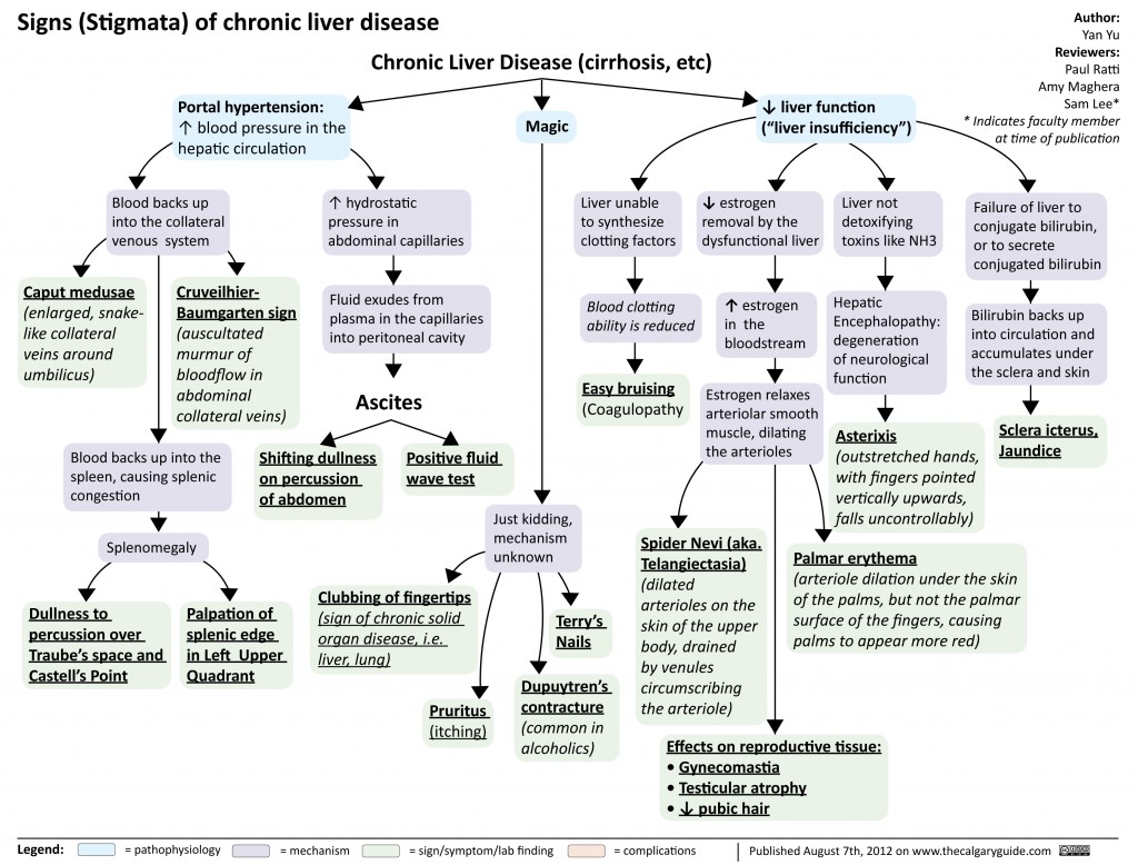 Signs Of Chronic Liver Disease Calgary Guide