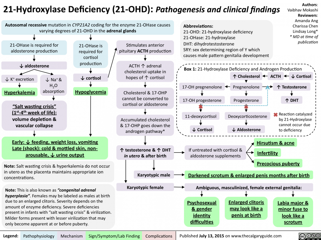 21-Hydroxylase Deficiency (21-OHD): Pathogenesis and Clinical Findings ...