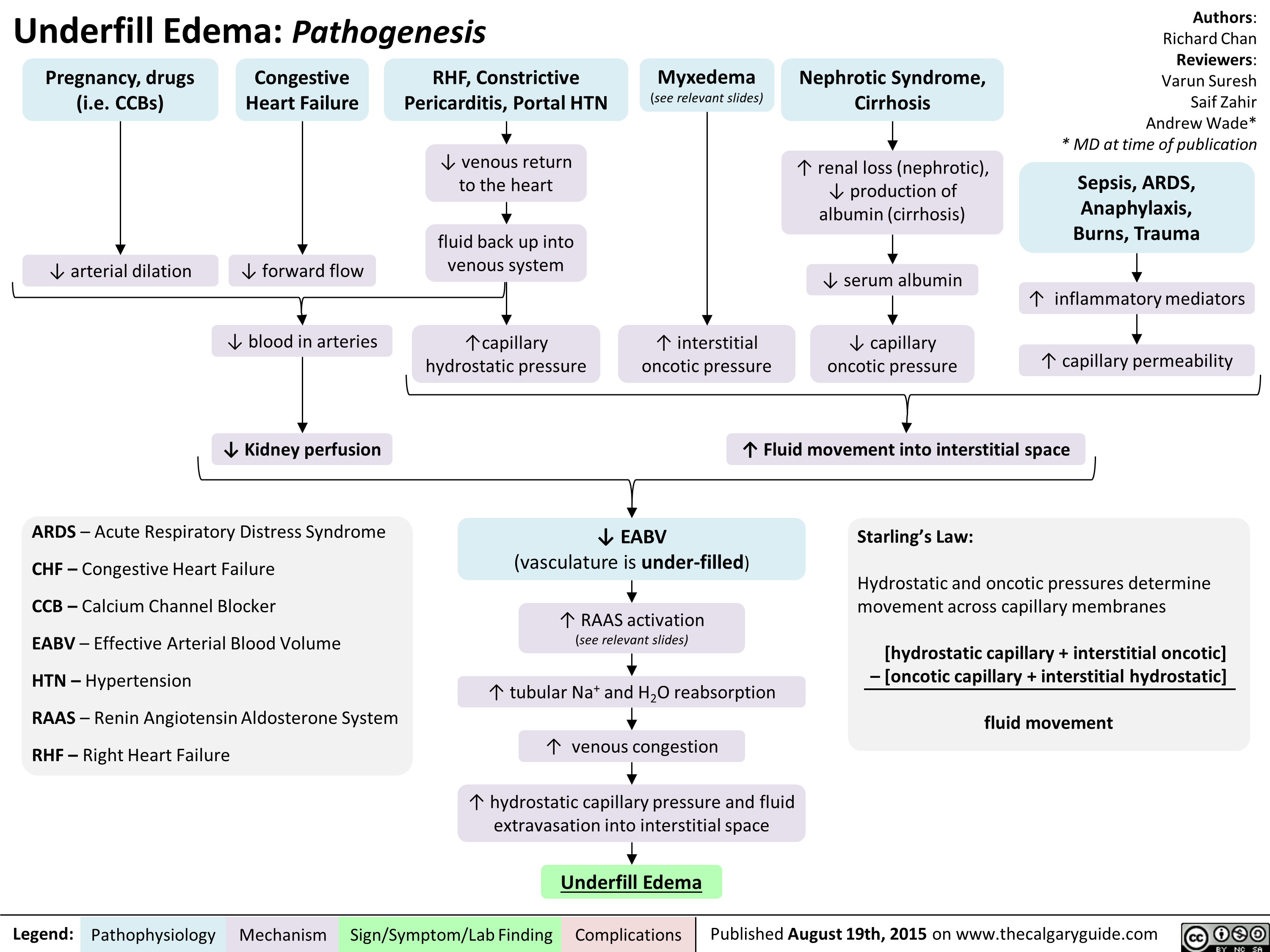 Underfill Edema Pathogenesis Calgary Guide