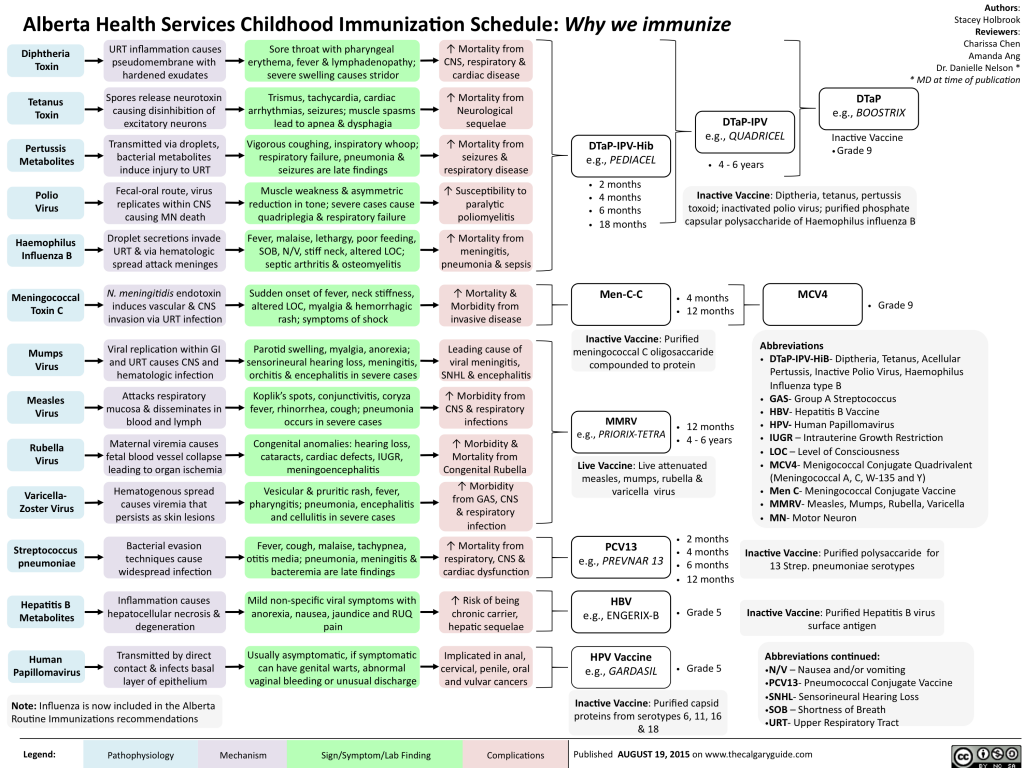 Childhood Immunization Schedule: Why we immunize | Calgary Guide