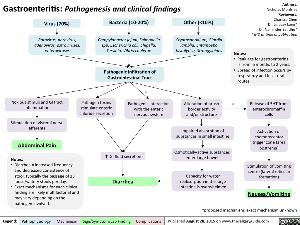 Gastroenteritis Pathogenesis And Clinical Findings Calgary Guide