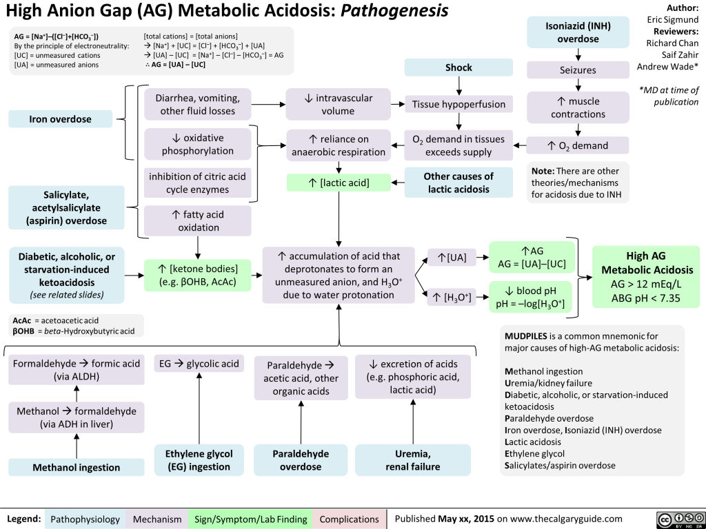 High-AG Metabolic Acidosis Pathogenesis | Calgary Guide