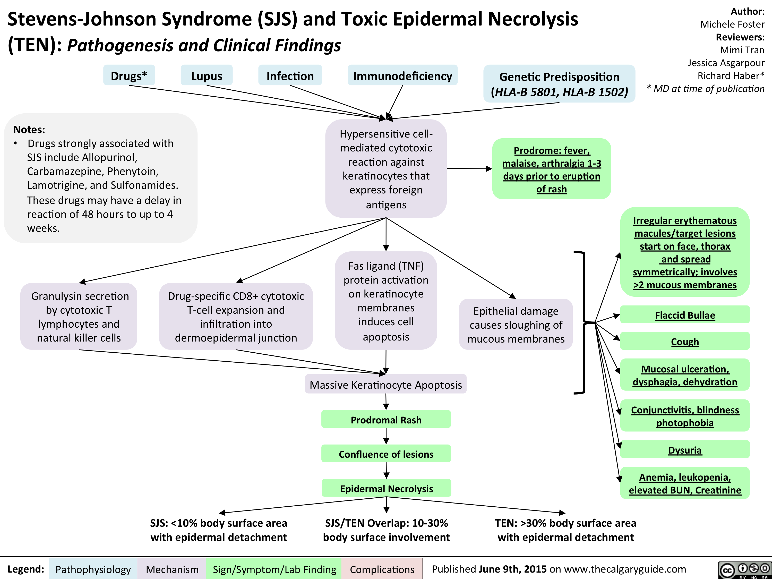 stevens-johnson-syndrome-sjs-and-toxic-epidermal-necrolysis-ten