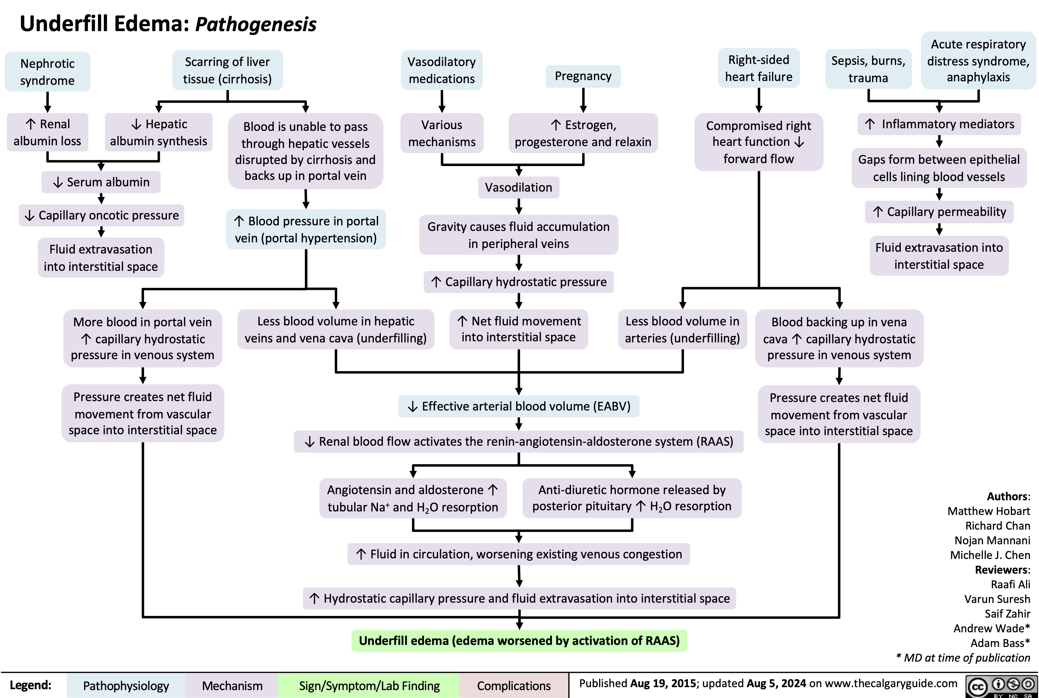 Underfill Edema: Pathogenesis
Acute respiratory Sepsis, burns, distress syndrome,
trauma anaphylaxis ↑ Inflammatory mediators
Gaps form between epithelial cells lining blood vessels
↑ Capillary permeability
Fluid extravasation into interstitial space
Blood backing up in vena cava ↑ capillary hydrostatic pressure in venous system
Pressure creates net fluid
movement from vascular space into interstitial space
Authors: Matthew Hobart Richard Chan Nojan Mannani Michelle J. Chen Reviewers: Raafi Ali Varun Suresh Saif Zahir Andrew Wade* Adam Bass* * MD at time of publication
      Nephrotic syndrome
↑ Renal albumin loss
Scarring of liver tissue (cirrhosis)
Vasodilatory medications
Various mechanisms
Right-sided heart failure
Compromised right heart function ↓ forward flow
          ↓ Hepatic albumin synthesis
Blood is unable to pass through hepatic vessels disrupted by cirrhosis and backs up in portal vein
↑ Blood pressure in portal vein (portal hypertension)
Less blood volume in hepatic veins and vena cava (underfilling)
Pregnancy
↑ Estrogen, progesterone and relaxin
Vasodilation
Gravity causes fluid accumulation in peripheral veins
↑ Capillary hydrostatic pressure
↑ Net fluid movement into interstitial space
     ↓ Serum albumin
↓ Capillary oncotic pressure
Fluid extravasation into interstitial space
More blood in portal vein ↑ capillary hydrostatic pressure in venous system
Pressure creates net fluid
movement from vascular space into interstitial space
Less blood volume in arteries (underfilling)
                   ↓ Effective arterial blood volume (EABV)
↓ Renal blood flow activates the renin-angiotensin-aldosterone system (RAAS)
Angiotensin and aldosterone ↑ Anti-diuretic hormone released by tubular Na+ and H2O resorption posterior pituitary ↑ H2O resorption
↑ Fluid in circulation, worsening existing venous congestion
↑ Hydrostatic capillary pressure and fluid extravasation into interstitial space Underfill edema (edema worsened by activation of RAAS)
           Legend:
 Pathophysiology
 Mechanism
 Sign/Symptom/Lab Finding
 Complications
 Published Aug 19, 2015; updated Aug 5, 2024 on www.thecalgaryguide.com
 