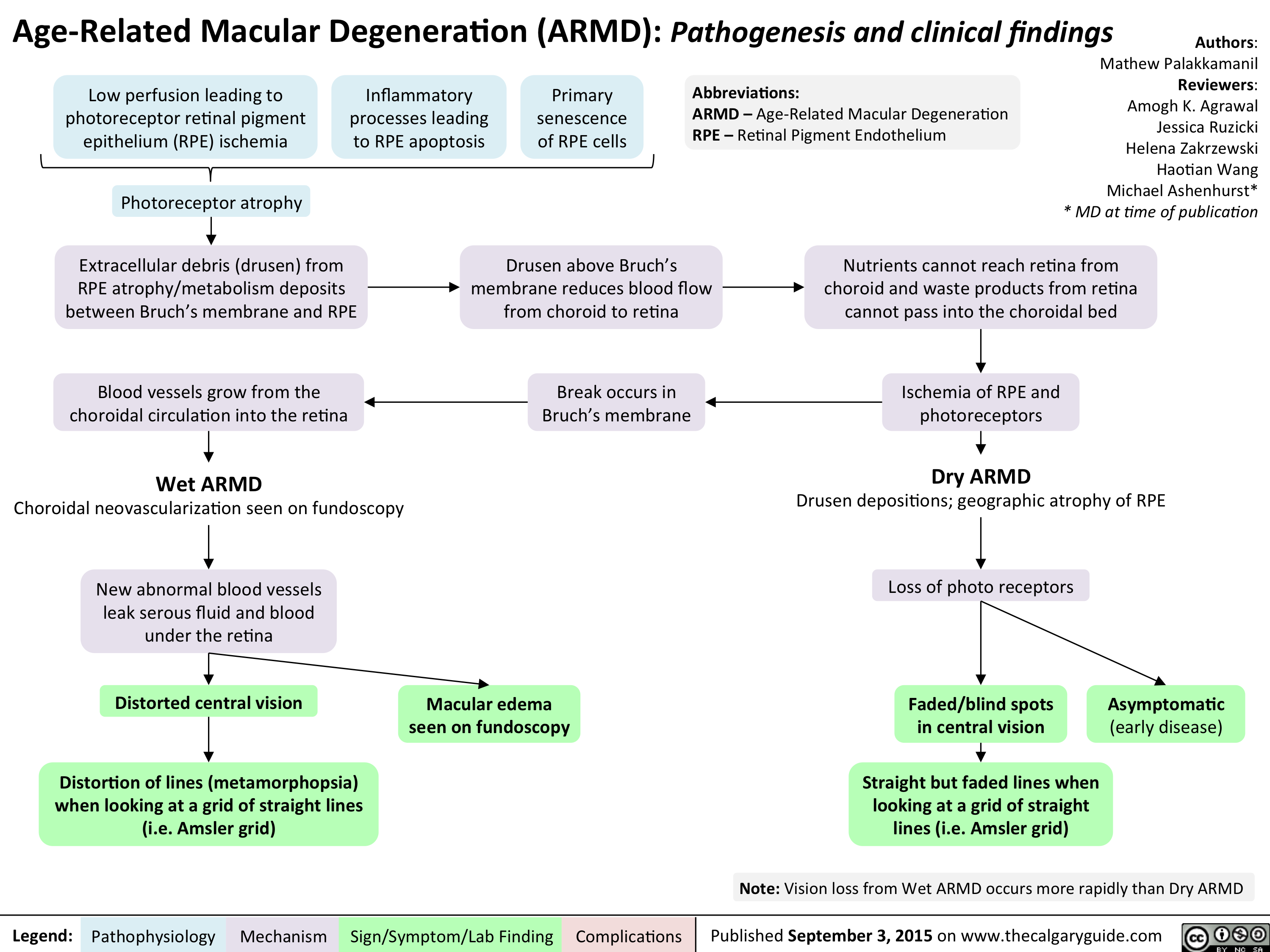 Age related Macular Degeneration Dry form. Классификация age-related Eye disease study. Metabolism and age.