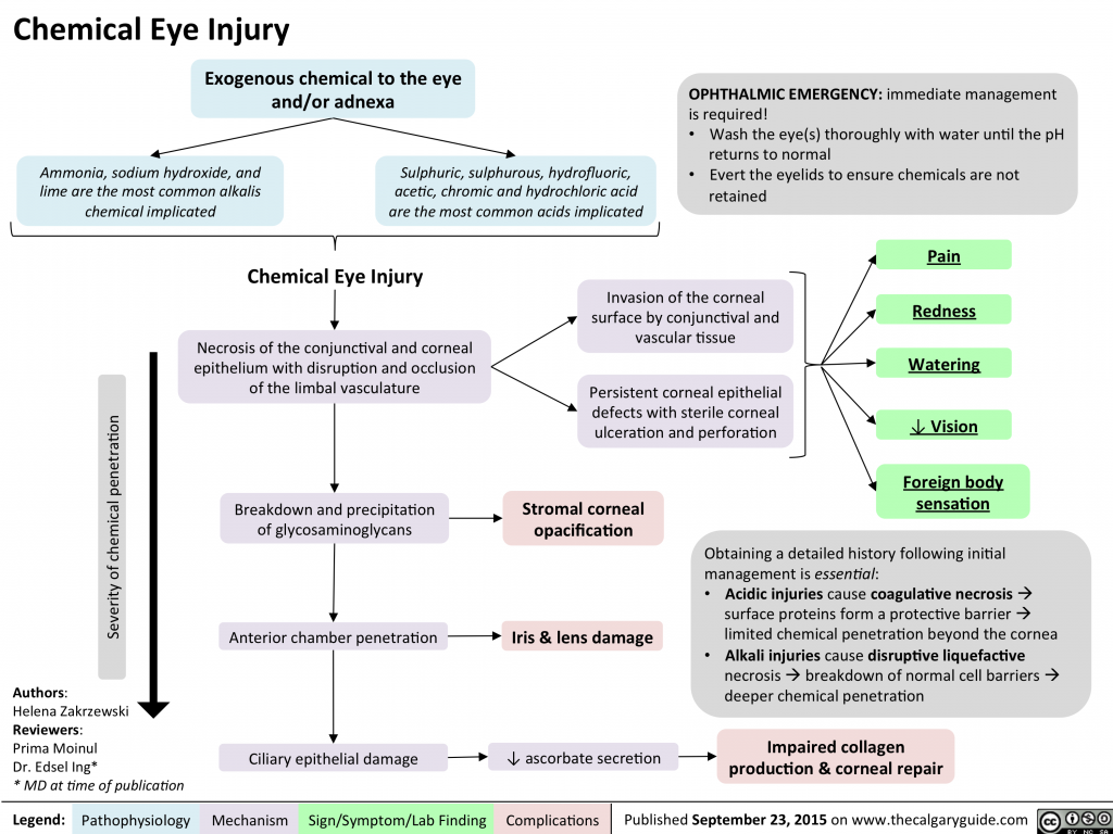 Chemical Eye Injury: Pathogenesis and clinical findings | Calgary Guide