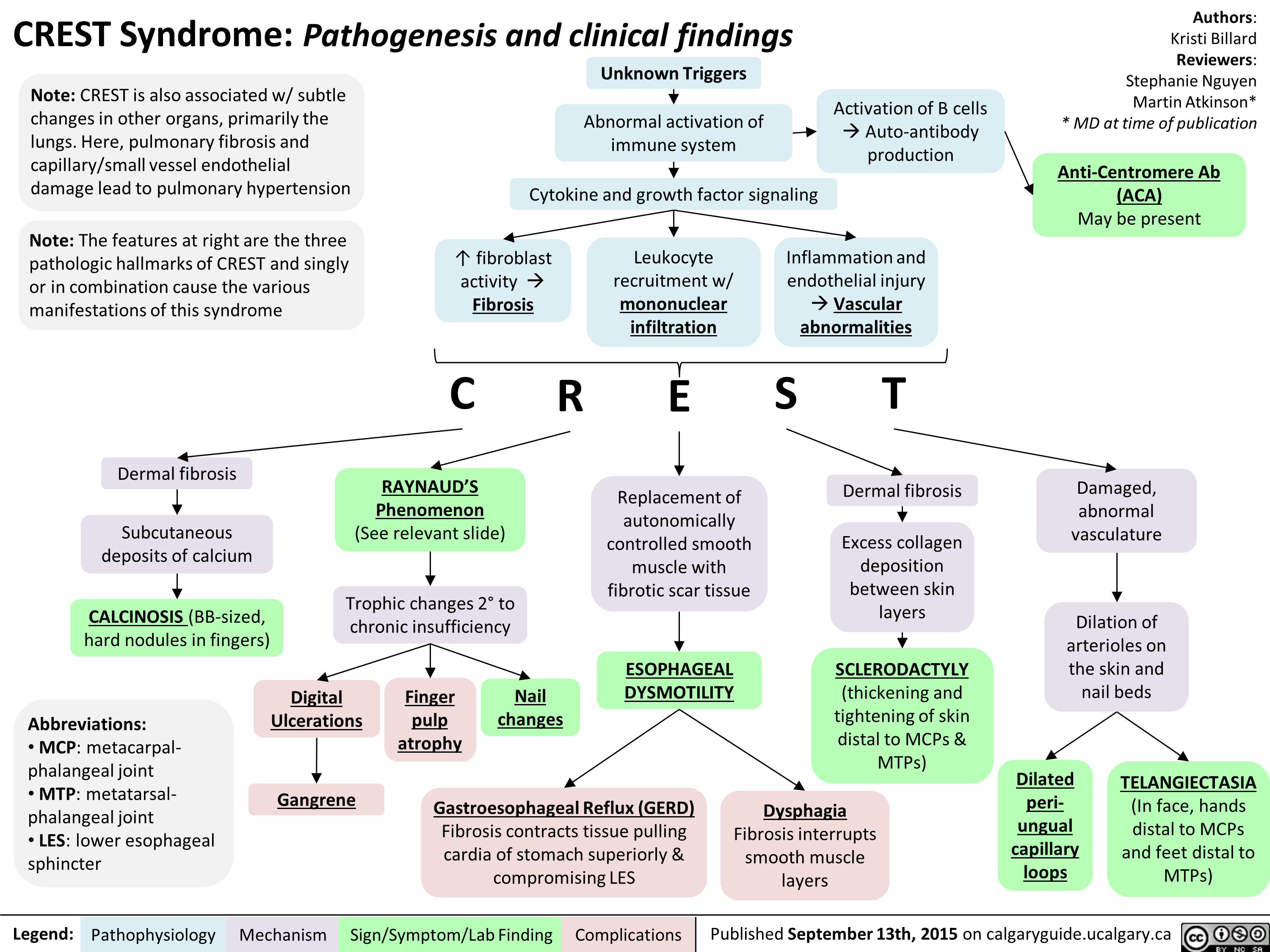 CREST Syndrome: Pathogenesis and Clinical Findings | Calgary Guide