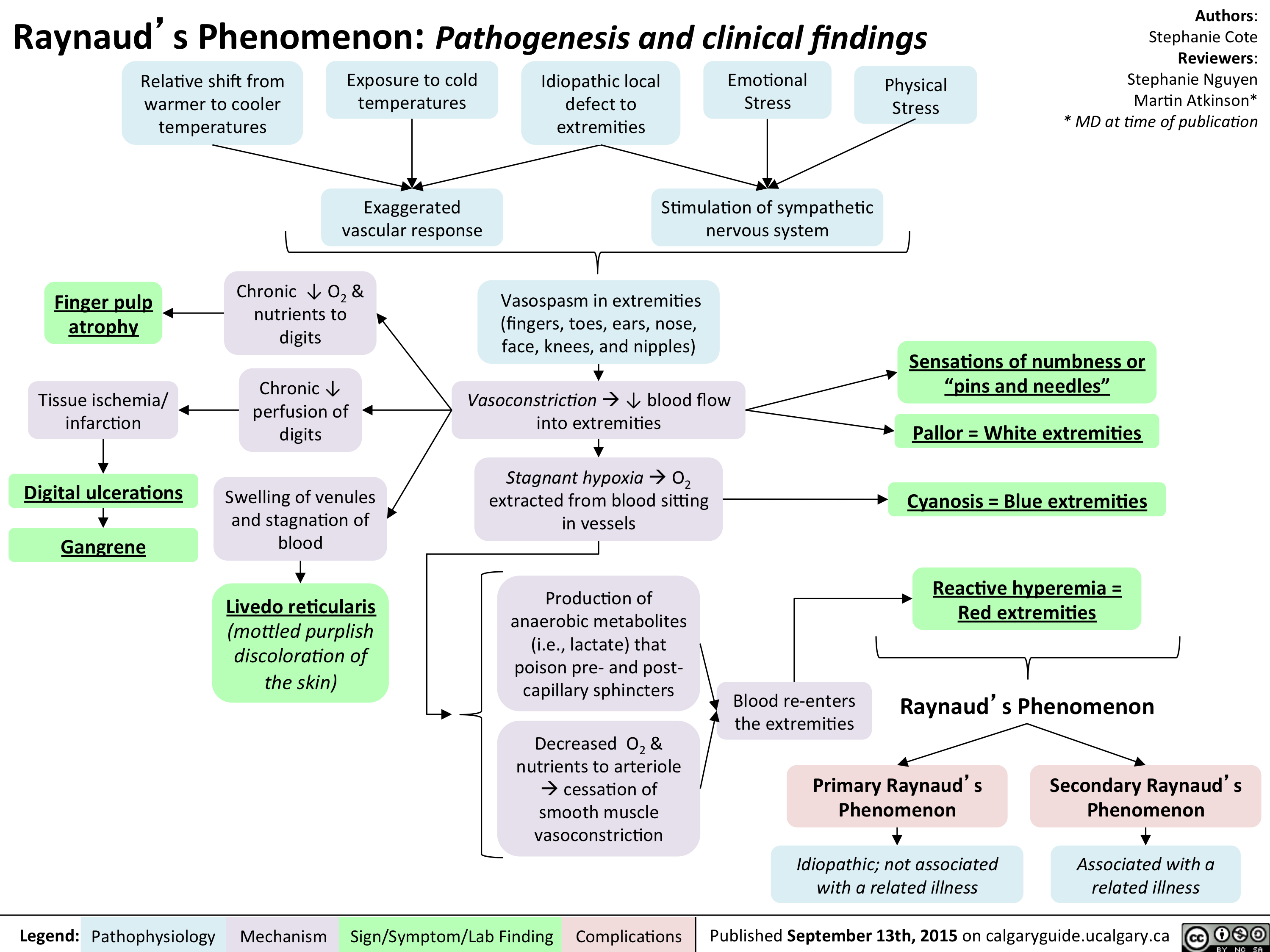 Raynaud Phenomenon Pathogenesis And Clinical Findings Calgary Guide