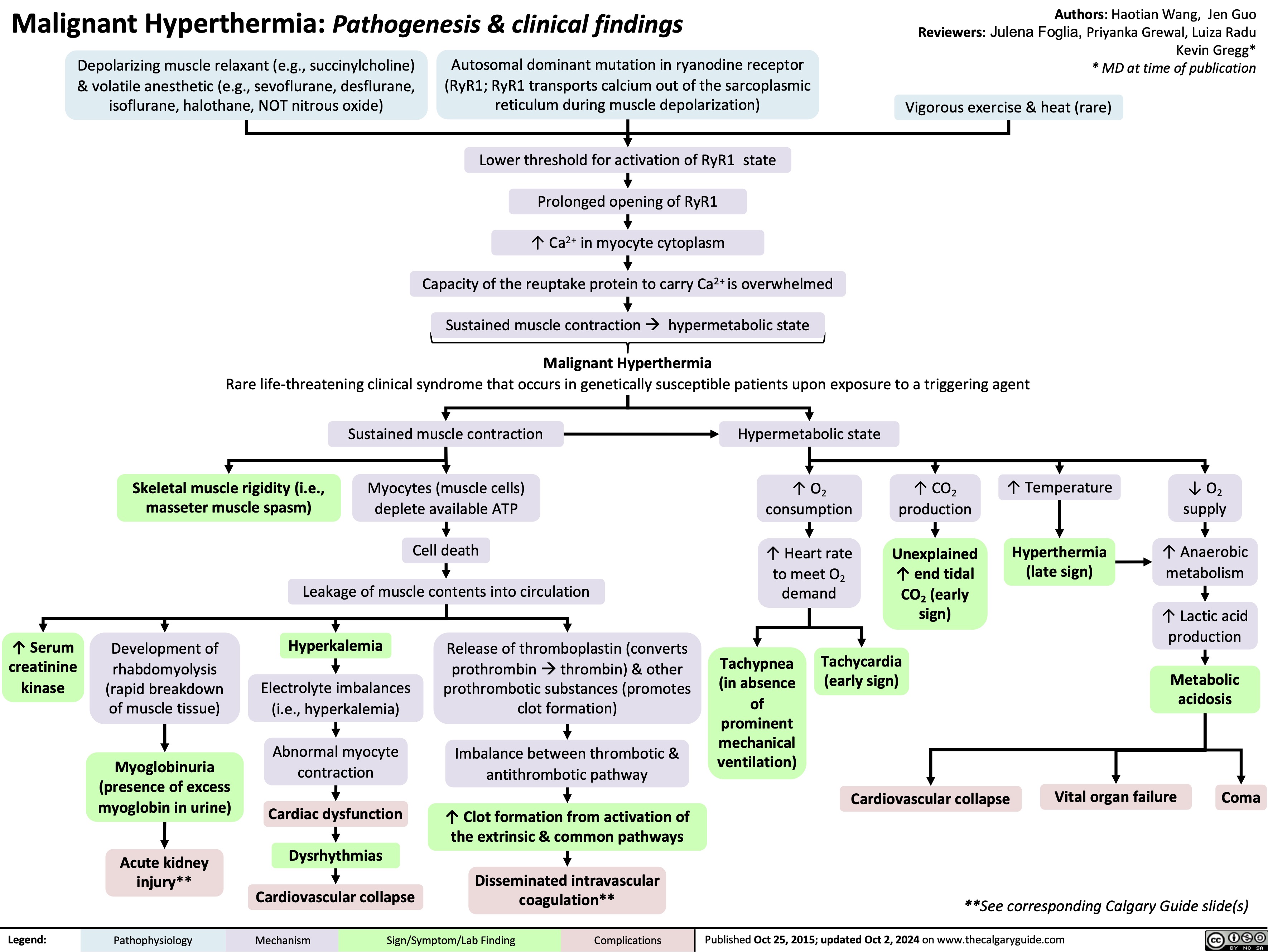 Malignant Hyperthermia: Pathogenesis & clinical findings
Authors: Haotian Wang, Jen Guo Reviewers: Julena Foglia, Priyanka Grewal, Luiza Radu Kevin Gregg* * MD at time of publication
  Depolarizing muscle relaxant (e.g., succinylcholine) & volatile anesthetic (e.g., sevoflurane, desflurane, isoflurane, halothane, NOT nitrous oxide)
Autosomal dominant mutation in ryanodine receptor (RyR1; RyR1 transports calcium out of the sarcoplasmic reticulum during muscle depolarization)
LowerthresholdforactivationofRyR1 state
Prolonged opening of RyR1
↑ Ca2+ in myocyte cytoplasm
Capacity of the reuptake protein to carry Ca2+ is overwhelmed
Sustained muscle contraction à hypermetabolic state
Malignant Hyperthermia
Vigorous exercise & heat (rare)
         Rare life-threatening clinical syndrome that occurs in genetically susceptible patients upon exposure to a triggering agent
            Skeletal muscle rigidity (i.e., masseter muscle spasm)
Sustained muscle contraction
Myocytes (muscle cells) deplete available ATP
Hypermetabolic state
↑ O2 consumption
↑ Heart rate to meet O2 demand
↑ CO2 production
Unexplained ↑ end tidal CO2 (early sign)
↑ Temperature
Hyperthermia (late sign)
↓ O2 supply
↑ Anaerobic metabolism
↑ Lactic acid production
Metabolic acidosis
     Cell death
Leakage of muscle contents into circulation
        ↑ Serum creatinine kinase
Development of rhabdomyolysis (rapid breakdown of muscle tissue)
Myoglobinuria (presence of excess myoglobin in urine)
Acute kidney injury**
Hyperkalemia
Electrolyte imbalances (i.e., hyperkalemia)
Abnormal myocyte contraction
Cardiac dysfunction Dysrhythmias Cardiovascular collapse
Release of thromboplastin (converts prothrombinàthrombin) & other prothrombotic substances (promotes clot formation)
Imbalance between thrombotic & antithrombotic pathway
↑ Clot formation from activation of the extrinsic & common pathways
Disseminated intravascular coagulation**
Tachypnea (in absence of prominent mechanical ventilation)
Tachycardia (early sign)
Cardiovascular collapse
           Vital organ failure Coma
      **See corresponding Calgary Guide slide(s)
 Legend:
 Pathophysiology
 Mechanism
 Sign/Symptom/Lab Finding
 Complications
 Published Oct 25, 2015; updated Oct 2, 2024 on www.thecalgaryguide.com
 