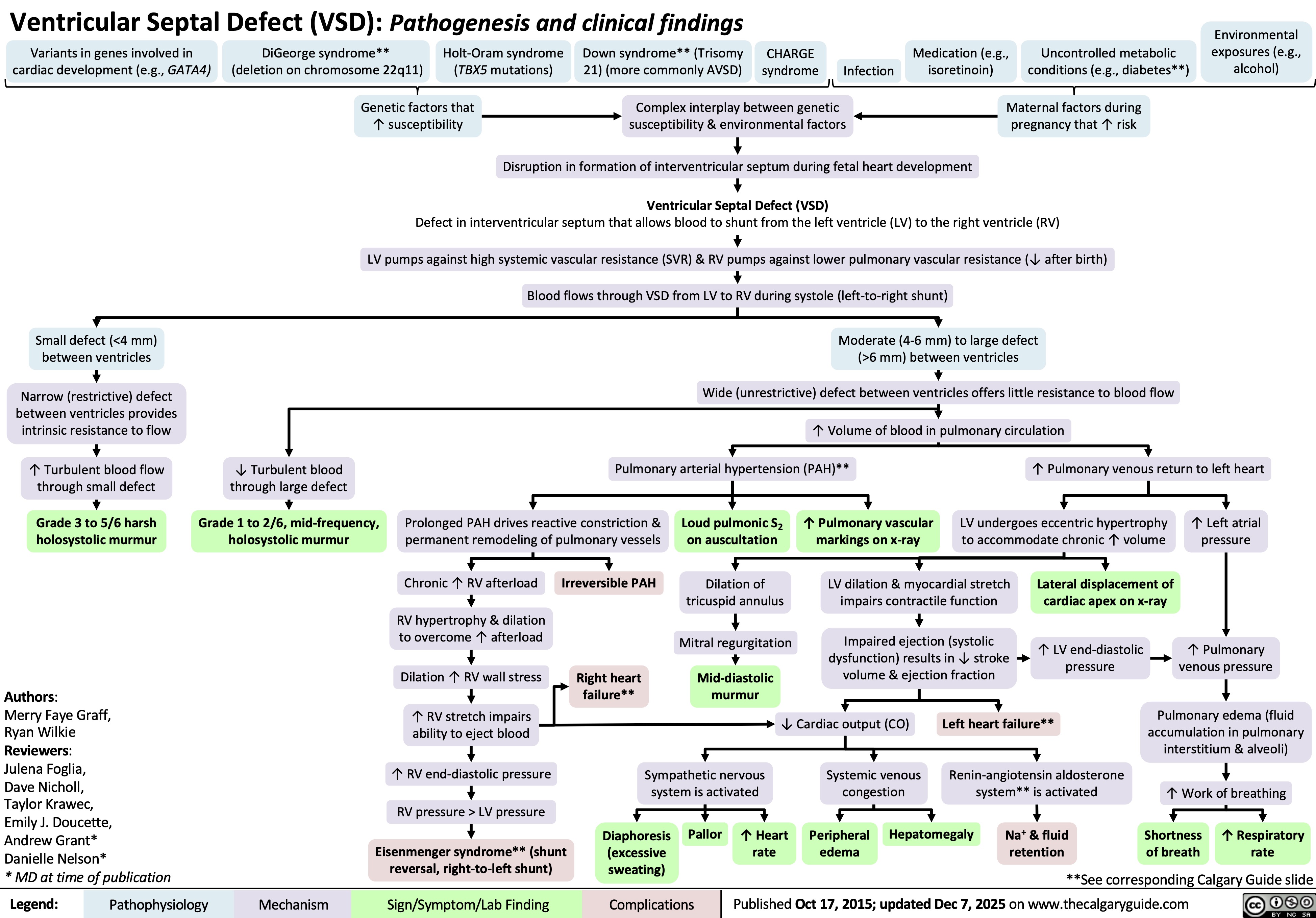 Authors:
Merry Faye Graff,
Ryan Wilkie
Reviewers:
Julena Foglia,
Dave Nicholl,
Taylor Krawec,
Emily J. Doucette,
Andrew Grant*
Danielle Nelson*
* MD at time of publication
Legend: Ventricular Septal Defect (VSD): Pathogenesis and clinical findings
Variants in genes involved in
cardiac development (e.g., GATA4)
DiGeorge syndrome**
(deletion on chromosome 22q11)
Holt-Oram syndrome
(TBX5 mutations)
Down syndrome** (Trisomy
21) (more commonly AVSD)
CHARGE
syndrome
Infection
Medication (e.g.,
isoretinoin)
Uncontrolled metabolic
conditions (e.g., diabetes**)
Environmental
exposures (e.g.,
alcohol)
Genetic factors that
↑ susceptibility
Complex interplay between genetic
susceptibility & environmental factors
Maternal factors during
pregnancy that ↑ risk
Disruption in formation of interventricular septum during fetal heart development
Ventricular Septal Defect (VSD)
Defect in interventricular septum that allows blood to shunt from the left ventricle (LV) to the right ventricle (RV)
LV pumps against high systemic vascular resistance (SVR) & RV pumps against lower pulmonary vascular resistance (↓ after birth)
Blood flows through VSD from LV to RV during systole (left-to-right shunt)
Small defect (<4 mm)
between ventricles
Moderate (4-6 mm) to large defect
(>6 mm) between ventricles
Narrow (restrictive) defect
between ventricles provides
intrinsic resistance to flow
Wide (unrestrictive) defect between ventricles offers little resistance to blood flow
↑ Volume of blood in pulmonary circulation
↑ Turbulent blood flow
through small defect
↓ Turbulent blood
through large defect
Pulmonary arterial hypertension (PAH)**
↑ Pulmonary venous return to left heart
Grade 3 to 5/6 harsh
holosystolic murmur
Grade 1 to 2/6, mid-frequency,
holosystolic murmur
Loud pulmonic S2
on auscultation
↑ Pulmonary vascular
markings on x-ray
LV undergoes eccentric hypertrophy
to accommodate chronic ↑ volume
↑ Left atrial
pressure
Dilation of
tricuspid annulus
LV dilation & myocardial stretch
impairs contractile function
Lateral displacement of
cardiac apex on x-ray
Mitral regurgitation
Impaired ejection (systolic
dysfunction) results in ↓ stroke
volume & ejection fraction
↑ LV end-diastolic
pressure
↑ Pulmonary
venous pressure
Mid-diastolic
murmur
↓ Cardiac output (CO) Left heart failure**
Pulmonary edema (fluid
accumulation in pulmonary
interstitium & alveoli)
Sympathetic nervous
system is activated
Systemic venous
congestion
Renin-angiotensin aldosterone
system** is activated
↑ Work of breathing
Diaphoresis
Pallor ↑ Heart
(excessive
rate
sweating)
Peripheral
edema
Hepatomegaly
Na+ & fluid
retention
Shortness
of breath
↑ Respiratory
rate
**See corresponding Calgary Guide slide
Complications
Published Oct 17, 2015; updated Dec 7, 2025 on www.thecalgaryguide.com
Prolonged PAH drives reactive constriction &
permanent remodeling of pulmonary vessels
Chronic ↑ RV afterload
Irreversible PAH
RV hypertrophy & dilation
to overcome ↑ afterload
Dilation ↑ RV wall stress
↑ RV stretch impairs
ability to eject blood
↑ RV end-diastolic pressure
RV pressure > LV pressure
Right heart
failure**
Eisenmenger syndrome** (shunt
reversal, right-to-left shunt)
Pathophysiology Mechanism
Sign/Symptom/Lab Finding 