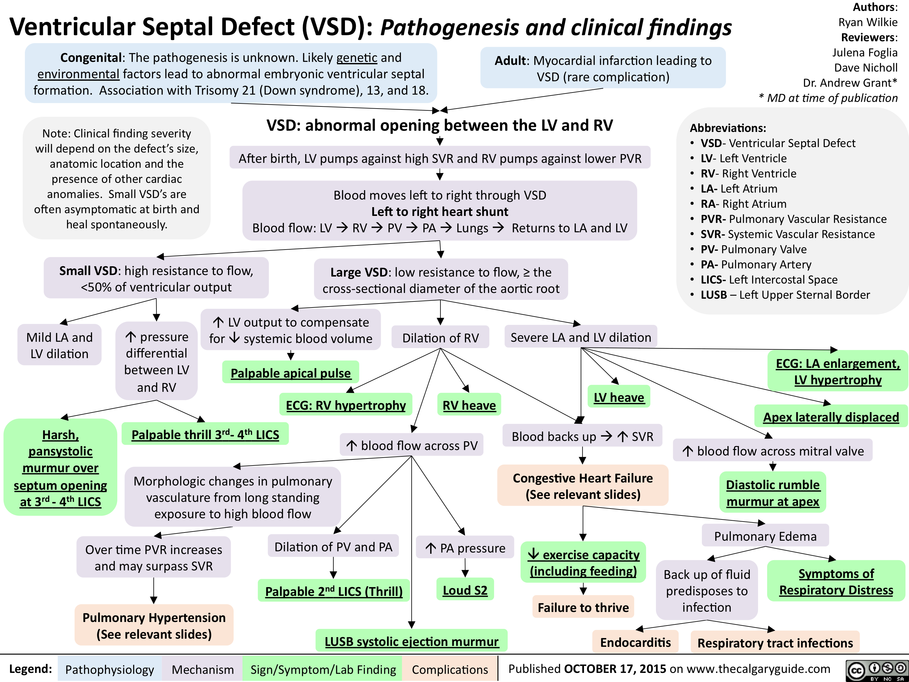 Ventricular Septal Defect Vsd Pathogenesis And Clinical Findings