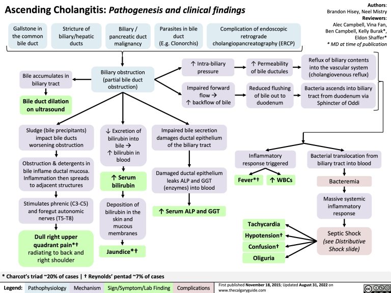 Ascending Cholangitis: Pathogenesis and Clinical Findings | Calgary Guide