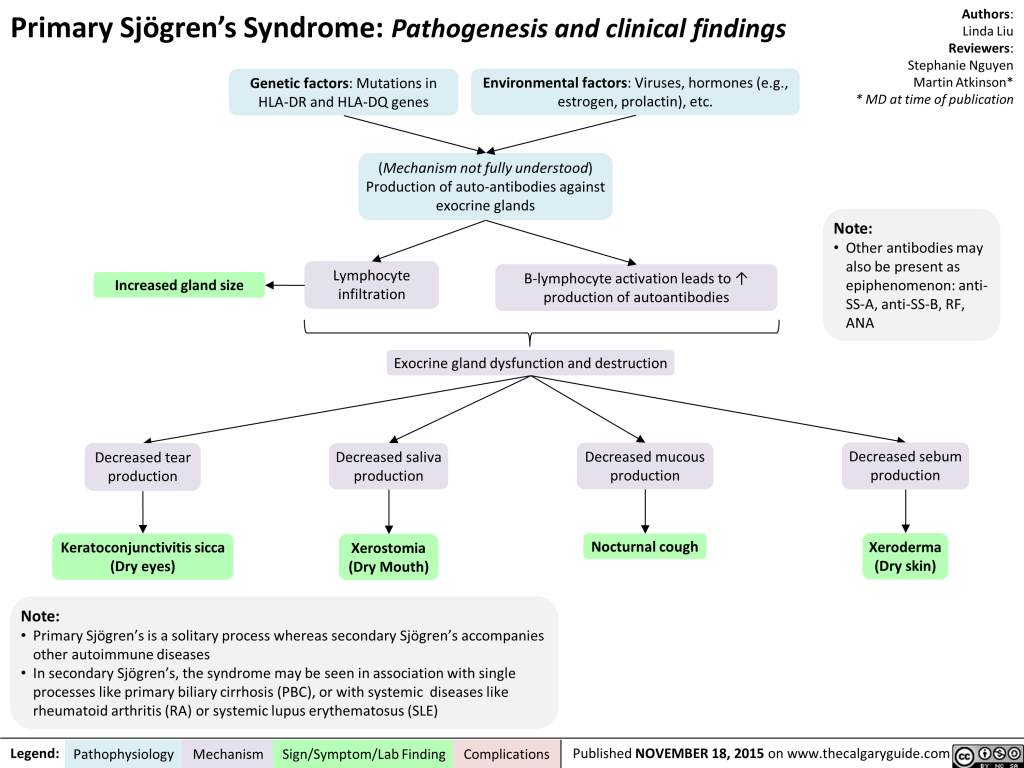 Primary Sjogren’s Syndrome: Pathogenesis And Clinical Findings ...