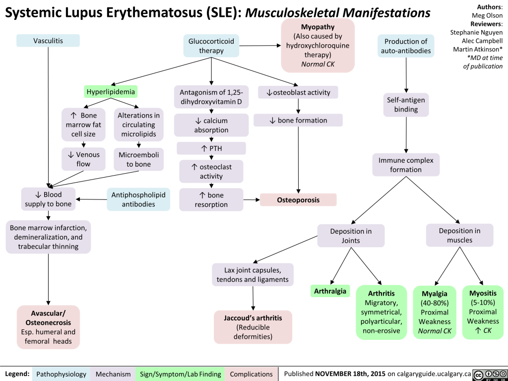 Systemic Lupus Erythematosus (sle): Musculoskeletal Manifestations 