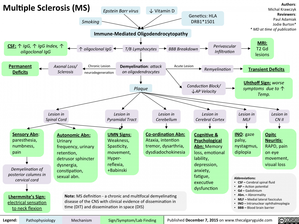 Multiple Sclerosis (MS) | Calgary Guide