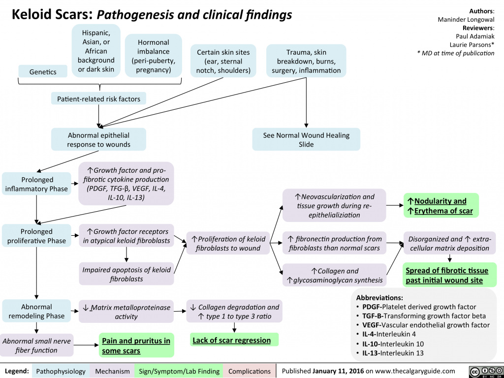 Keloid scars: Pathogenesis and clinical findings | Calgary Guide