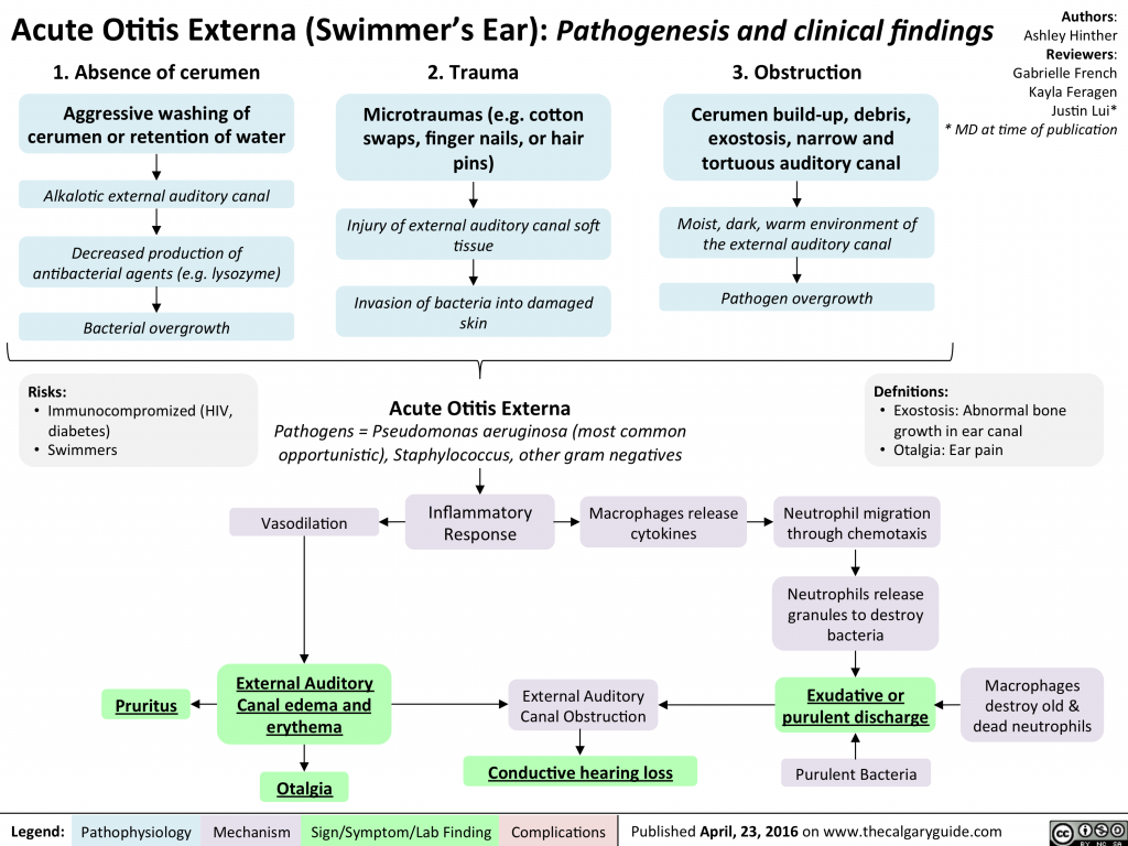 acute-otitis-externa-swimmer-s-ear-pathogenesis-and-clinical