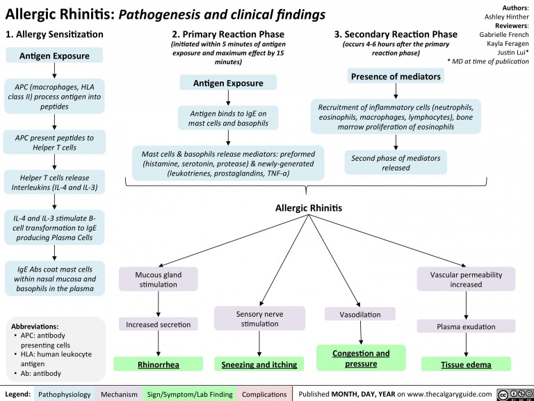 Allergic Rhinitis – Pathogenesis and clinical findings | Calgary Guide