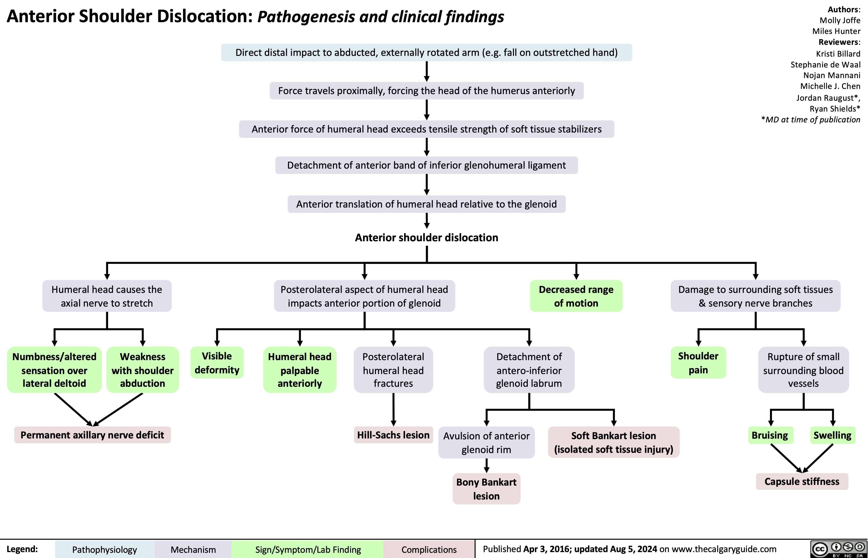 Anterior Shoulder Dislocation: Pathogenesis and clinical findings
Direct distal impact to abducted, externally rotated arm (e.g. fall on outstretched hand)
Authors: Molly Joffe Miles Hunter Reviewers: Kristi Billard Stephanie de Waal Nojan Mannani Michelle J. Chen Jordan Raugust*, Ryan Shields* *MD at time of publication
  Force travels proximally, forcing the head of the humerus anteriorly
Anterior force of humeral head exceeds tensile strength of soft tissue stabilizers Detachment of anterior band of inferior glenohumeral ligament
Anterior translation of humeral head relative to the glenoid
           Humeral head causes the axial nerve to stretch
Anterior shoulder dislocation
Posterolateral aspect of humeral head impacts anterior portion of glenoid
Damage to surrounding soft tissues & sensory nerve branches
           Numbness/altered sensation over lateral deltoid
Weakness with shoulder abduction
Visible deformity
Humeral head palpable anteriorly
Posterolateral humeral head fractures
Hill-Sachs lesion
Decreased range of motion
Detachment of antero-inferior glenoid labrum
Shoulder pain
Rupture of small surrounding blood vessels
Bruising Swelling Capsule stiffness
          Permanent axillary nerve deficit
Avulsion of anterior glenoid rim
Bony Bankart lesion
Soft Bankart lesion (isolated soft tissue injury)
     Legend:
 Pathophysiology
Mechanism
Sign/Symptom/Lab Finding
 Complications
 Published Apr 3, 2016; updated Aug 5, 2024 on www.thecalgaryguide.com
   
