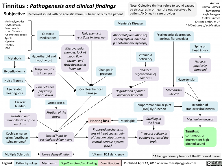 Subjective Tinnitus: Pathogenesis and clinical findings | Calgary Guide