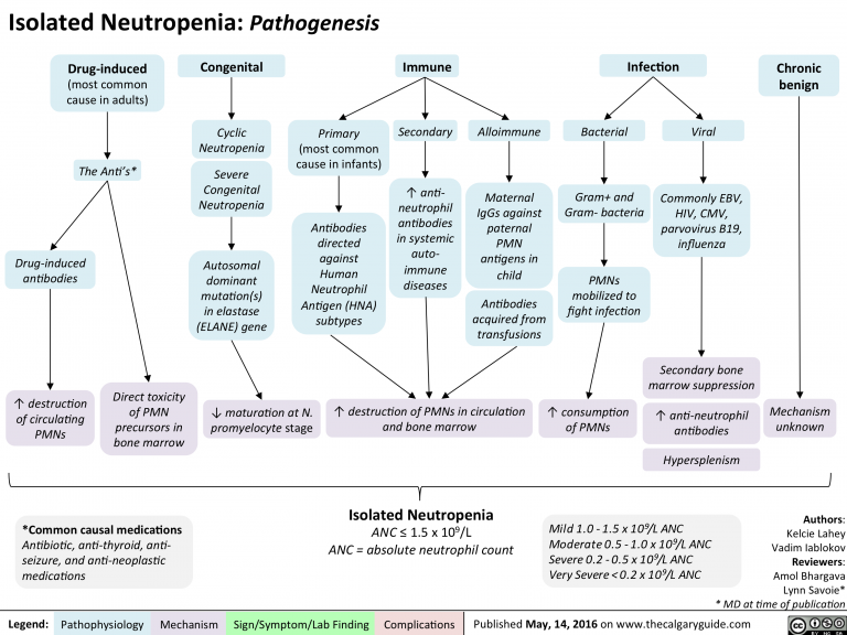 Isolated Neutropenia Calgary Guide