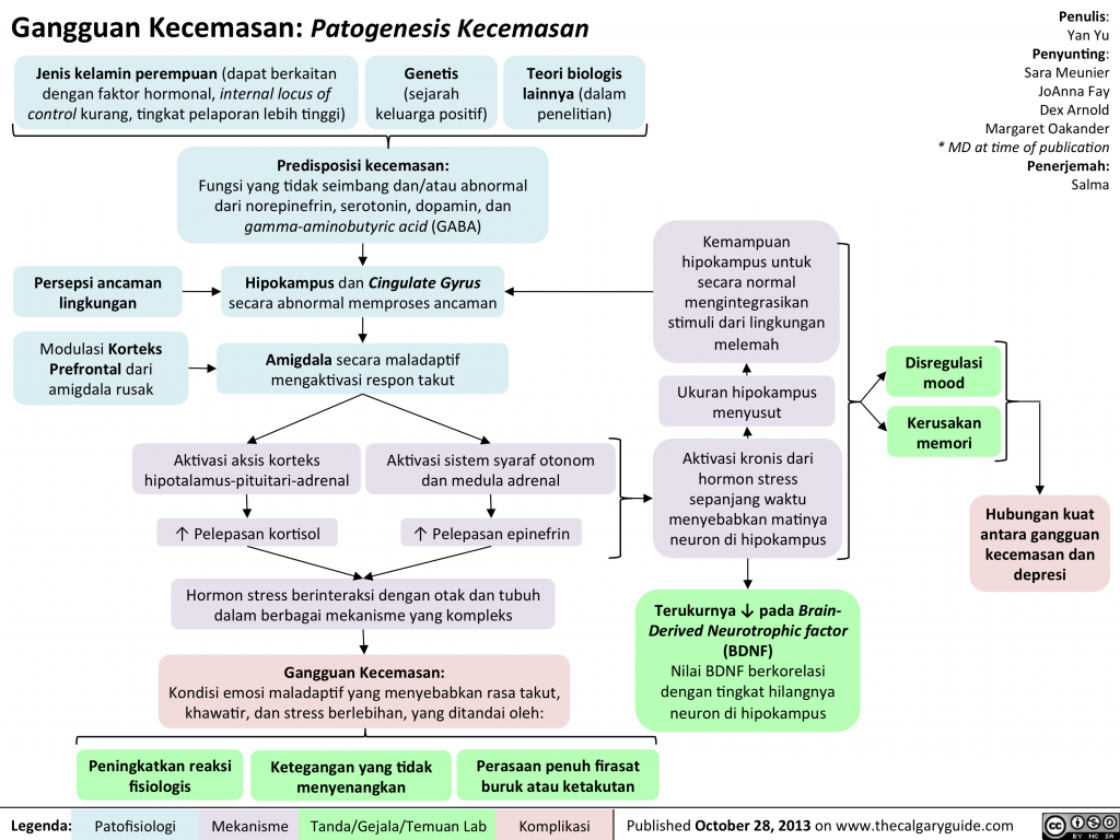 What Is The Pathophysiology Of Anxiety Disorder