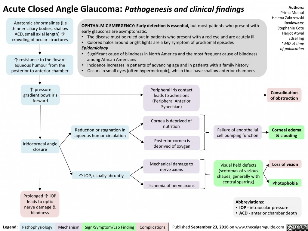 Acute Closed Angle Glaucoma: Pathogenesis and Clinical Findings ...