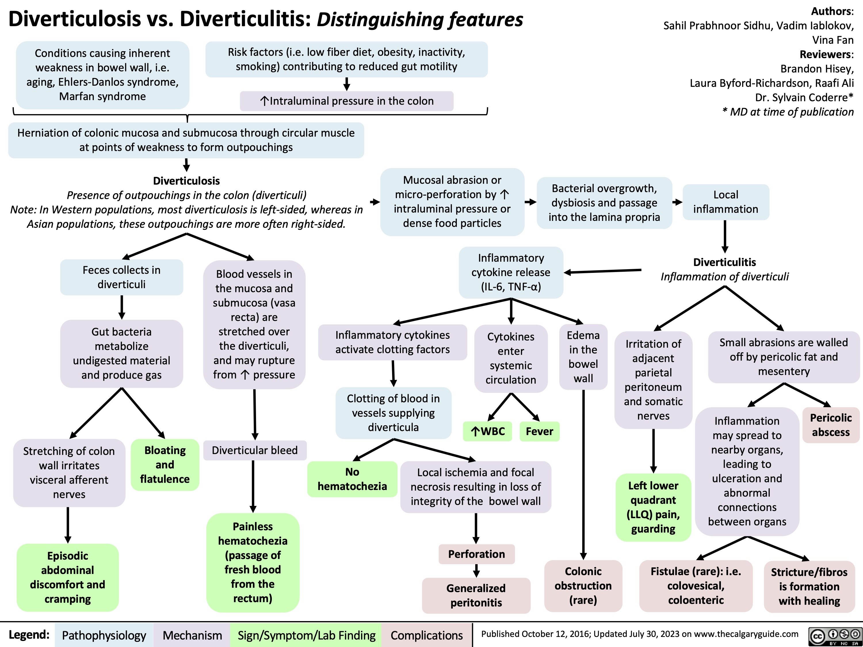 Diverticulosis vs. Diverticulitis: Distinguishing features
Authors: Sahil Prabhnoor Sidhu, Vadim Iablokov, Vina Fan Reviewers: Brandon Hisey, Laura Byford-Richardson, Raafi Ali Dr. Sylvain Coderre* * MD at time of publication
Local inflammation
Diverticulitis
Inflammation of diverticuli
  Conditions causing inherent
weakness in bowel wall, i.e. aging, Ehlers-Danlos syndrome, Marfan syndrome
Risk factors (i.e. low fiber diet, obesity, inactivity, smoking) contributing to reduced gut motility
↑Intraluminal pressure in the colon
   Herniation of colonic mucosa and submucosa through circular muscle at points of weakness to form outpouchings
Diverticulosis
Presence of outpouchings in the colon (diverticuli)
Note: In Western populations, most diverticulosis is left-sided, whereas in Asian populations, these outpouchings are more often right-sided.
Mucosal abrasion or micro-perforation by ↑ intraluminal pressure or dense food particles
Bacterial overgrowth,
dysbiosis and passage into the lamina propria
         Feces collects in diverticuli
Gut bacteria metabolize undigested material and produce gas
Stretching of colon Bloating wall irritates and
visceral afferent flatulence nerves
Episodic abdominal discomfort and cramping
Blood vessels in
the mucosa and submucosa (vasa recta) are stretched over the diverticuli, and may rupture from ↑ pressure
Diverticular bleed
Painless hematochezia (passage of fresh blood from the rectum)
Inflammatory cytokines activate clotting factors
Clotting of blood in vessels supplying diverticula
Inflammatory cytokine release (IL-6, TNF-α)
Cytokines enter systemic circulation
Edema in the bowel wall
Irritation of adjacent parietal peritoneum and somatic nerves
Left lower quadrant (LLQ) pain, guarding
Small abrasions are walled off by pericolic fat and mesentery
                    ↑WBC
Fever
Inflammation may spread to nearby organs, leading to ulceration and abnormal connections between organs
Pericolic abscess
        No hematochezia
Local ischemia and focal necrosis resulting in loss of integrity of the bowel wall
Perforation
Generalized peritonitis
         Colonic obstruction (rare)
Fistulae (rare): i.e. colovesical, coloenteric
Stricture/fibros is formation with healing
  Legend:
 Pathophysiology
Mechanism
Sign/Symptom/Lab Finding
 Complications
 Published October 12, 2016; Updated July 30, 2023 on www.thecalgaryguide.com
   