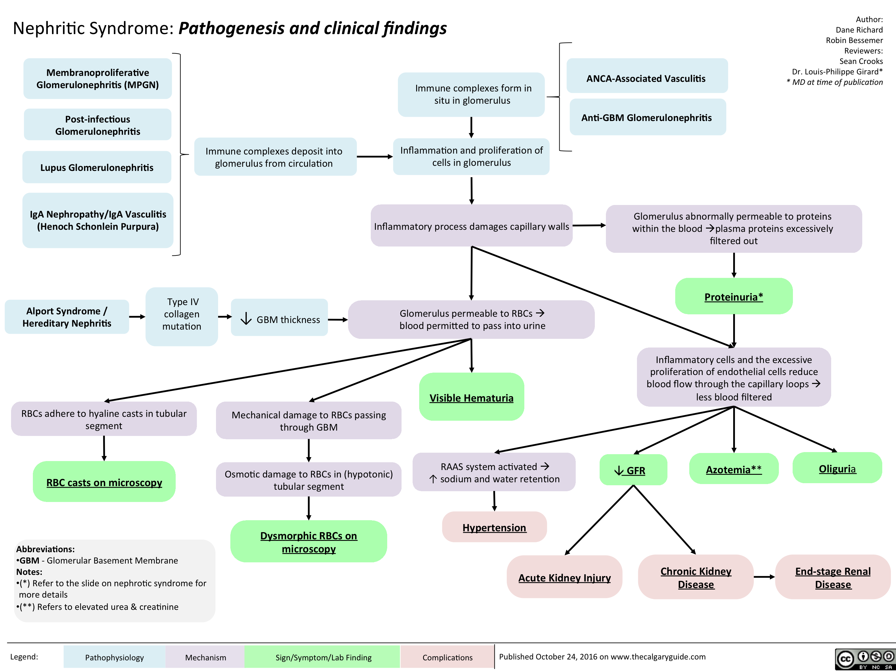 Pathophysiology Of Nephrotic Syndrome