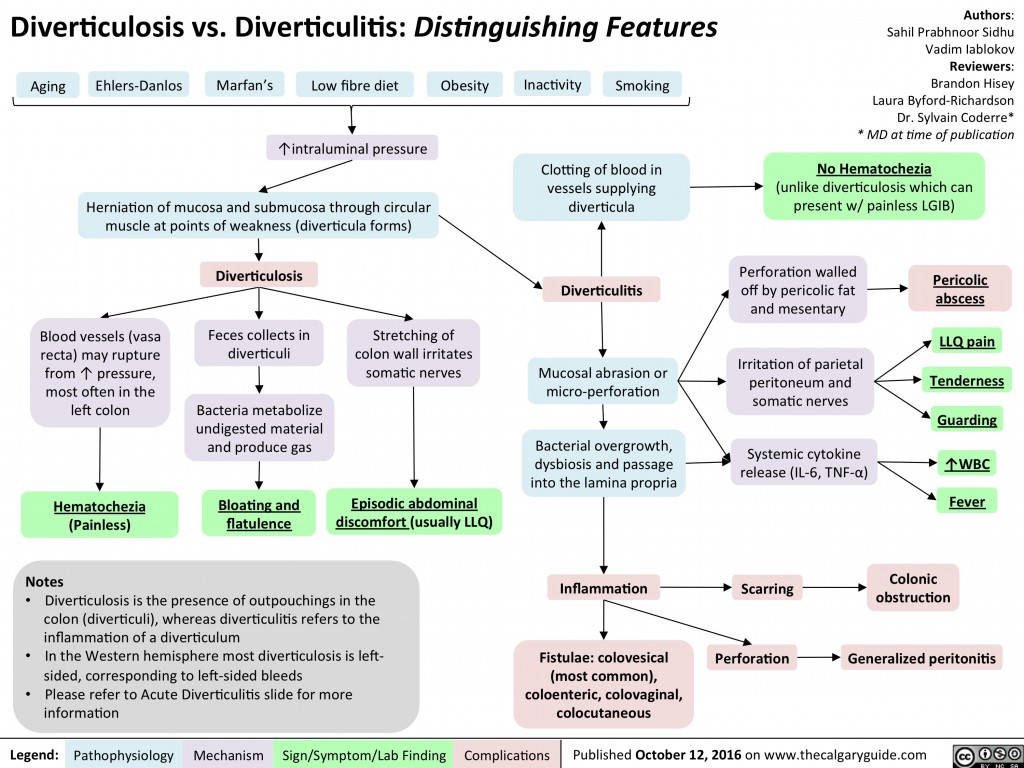 Diverticulosis vs. Diverticulitis: Distinguishing Features | Calgary Guide