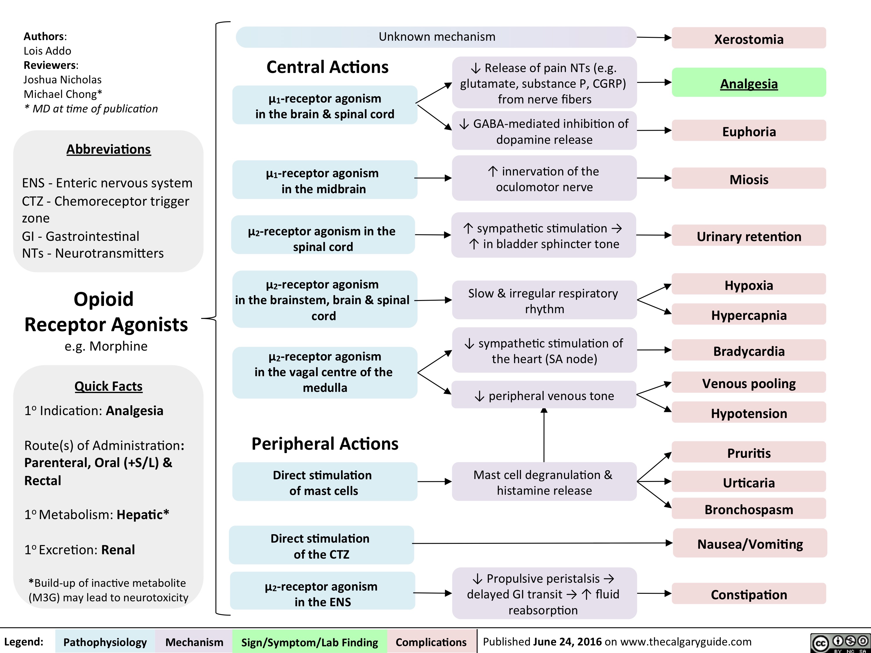 Opioid Receptor Agonists Calgary Guide