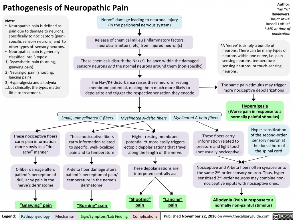 pathogenesis-of-neuropathic-pain-calgary-guide