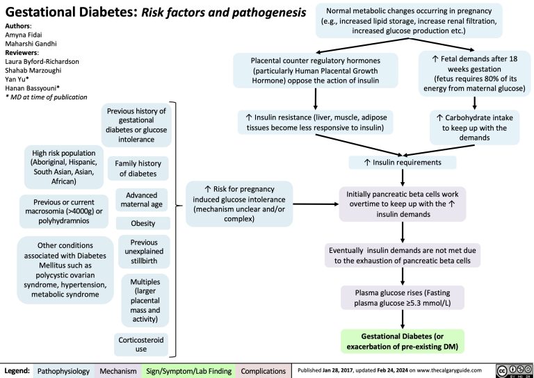 Gestational Diabetes Risk factors and pathogenesis | Calgary Guide