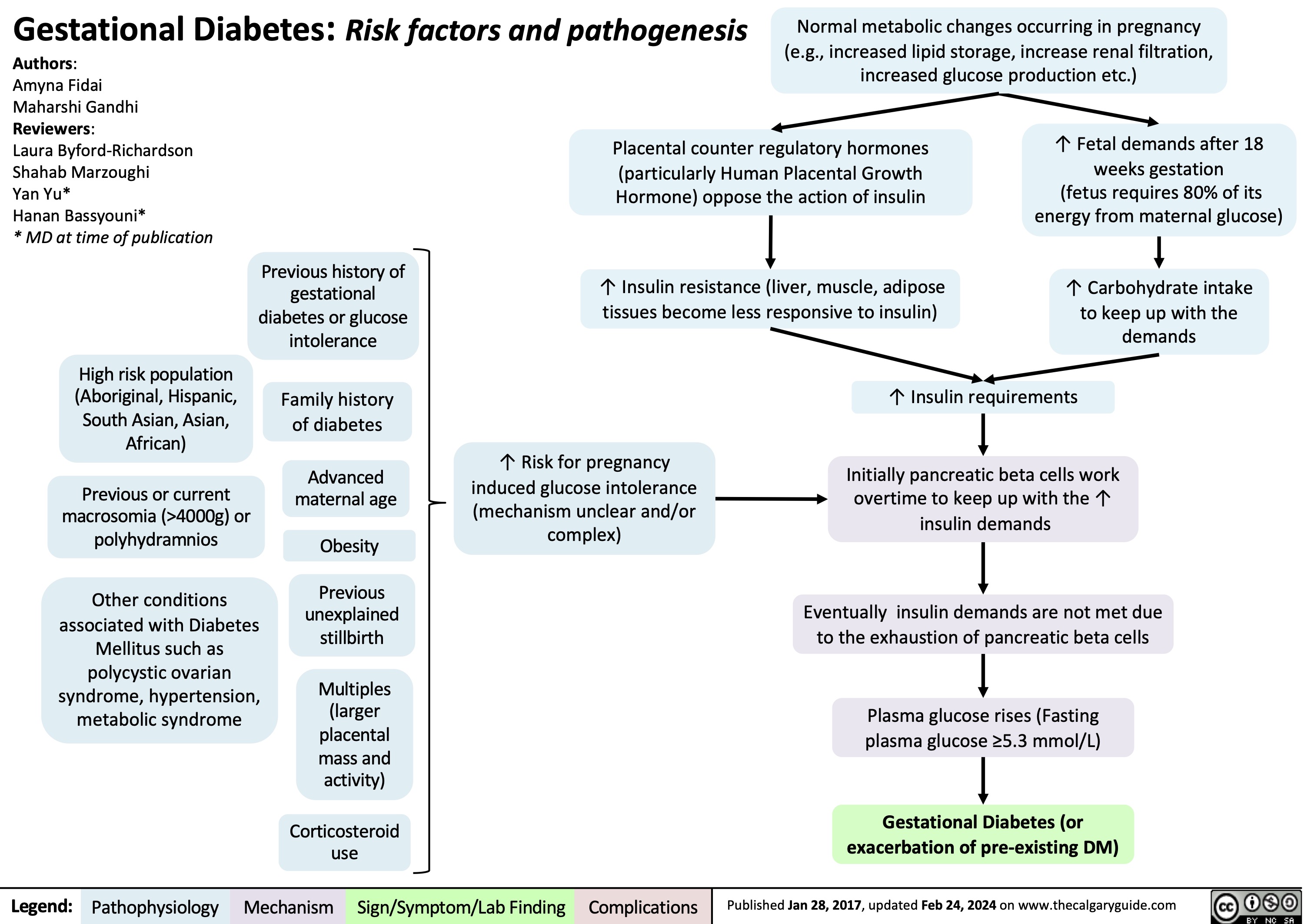 Gestational Diabetes: Risk factors and pathogenesis
Normal metabolic changes occurring in pregnancy (e.g., increased lipid storage, increase renal filtration, increased glucose production etc.)
 Authors:
Amyna Fidai
Maharshi Gandhi Reviewers:
Laura Byford-Richardson Shahab Marzoughi
Yan Yu*
Hanan Bassyouni*
* MD at time of publication
High risk population (Aboriginal, Hispanic, South Asian, Asian, African)
Previous or current macrosomia (>4000g) or polyhydramnios
Other conditions associated with Diabetes Mellitus such as polycystic ovarian syndrome, hypertension, metabolic syndrome
Placental counter regulatory hormones (particularly Human Placental Growth Hormone) oppose the action of insulin
↑ Insulin resistance (liver, muscle, adipose tissues become less responsive to insulin)
↑ Fetal demands after 18 weeks gestation
(fetus requires 80% of its energy from maternal glucose)
↑ Carbohydrate intake to keep up with the demands
       Previous history of gestational diabetes or glucose intolerance
Family history of diabetes
Advanced maternal age
Obesity
Previous unexplained stillbirth
Multiples (larger placental mass and activity)
Corticosteroid use
↑ Risk for pregnancy induced glucose intolerance (mechanism unclear and/or complex)
↑ Insulin requirements Initially pancreatic beta cells work
overtime to keep up with the ↑ insulin demands
Eventually insulin demands are not met due to the exhaustion of pancreatic beta cells
Plasma glucose rises (Fasting plasma glucose ≥5.3 mmol/L)
Gestational Diabetes (or exacerbation of pre-existing DM)
                      Legend:
 Pathophysiology
Mechanism
Sign/Symptom/Lab Finding
 Complications
 Published Jan 28, 2017, updated Feb 24, 2024 on www.thecalgaryguide.com
   