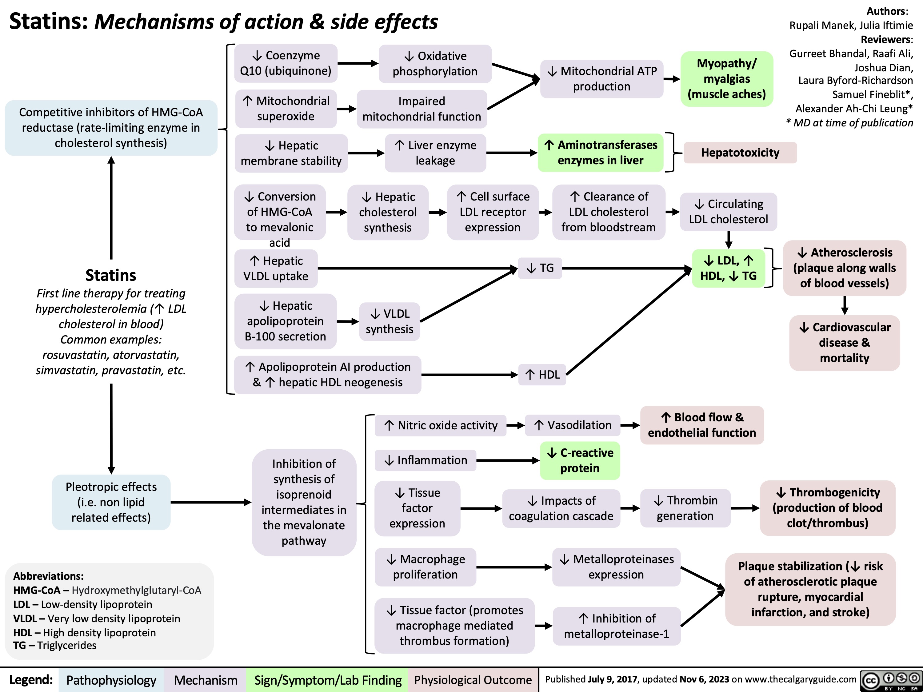 Statins: Mechanisms of action & side effects
Authors: Rupali Manek, Julia Iftimie Reviewers: Gurreet Bhandal, Raafi Ali, Joshua Dian, Laura Byford-Richardson Samuel Fineblit*, Alexander Ah-Chi Leung* * MD at time of publication
         Competitive inhibitors of HMG-CoA reductase (rate-limiting enzyme in cholesterol synthesis)
↓ Coenzyme Q10 (ubiquinone)
↑ Mitochondrial superoxide
↓ Hepatic membrane stability
↓ Conversion of HMG-CoA to mevalonic acid
↑ Hepatic VLDL uptake
↓ Hepatic apolipoprotein B-100 secretion
↓ Oxidative phosphorylation
Impaired mitochondrial function
↑ Liver enzyme leakage
↓ Mitochondrial ATP production
↑ Aminotransferases enzymes in liver
↑ Clearance of
LDL cholesterol from bloodstream
Myopathy/ myalgias (muscle aches)
Hepatotoxicity
↓ Circulating LDL cholesterol
↓ LDL, ↑ HDL, ↓ TG
           ↓ Hepatic cholesterol synthesis
↓ VLDL synthesis
↑ Cell surface LDL receptor expression
     Statins
First line therapy for treating hypercholesterolemia (↑ LDL cholesterol in blood) Common examples: rosuvastatin, atorvastatin, simvastatin, pravastatin, etc.
↑ Apolipoprotein AI production & ↑ hepatic HDL neogenesis
↓ TG
↑ HDL
↑ Vasodilation
↓ C-reactive protein
↓ Impacts of coagulation cascade
↓ Atherosclerosis (plaque along walls of blood vessels)
↓ Cardiovascular disease & mortality
                   Pleotropic effects (i.e. non lipid related effects)
Abbreviations:
HMG-CoA – Hydroxymethylglutaryl-CoA LDL – Low-density lipoprotein
VLDL – Very low density lipoprotein HDL – High density lipoprotein
TG – Triglycerides
Inhibition of synthesis of isoprenoid intermediates in the mevalonate pathway
↑ Nitric oxide activity ↓ Inflammation
↓ Tissue factor expression
↓ Macrophage proliferation
↓ Tissue factor (promotes macrophage mediated thrombus formation)
↑ Blood flow & endothelial function
↓ Thrombin generation
       ↓ Metalloproteinases expression
↑ Inhibition of metalloproteinase-1
↓ Thrombogenicity (production of blood clot/thrombus)
Plaque stabilization (↓ risk of atherosclerotic plaque rupture, myocardial infarction, and stroke)
       Legend:
 Pathophysiology
Mechanism
 Sign/Symptom/Lab Finding
 Physiological Outcome
 Published July 9, 2017, updated Nov 6, 2023 on www.thecalgaryguide.com
  