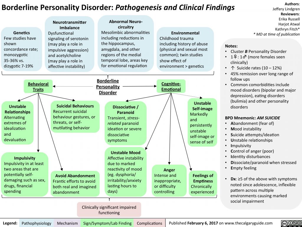 Borderline Personality Disorder Pathogenesis and Clinical Findings