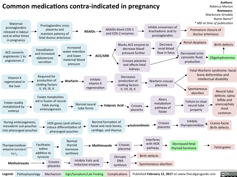 Common meds contra in Preg | Calgary Guide