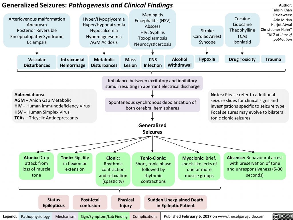 Generalized Seizures: Pathogenesis and Clinical Findings | Calgary Guide