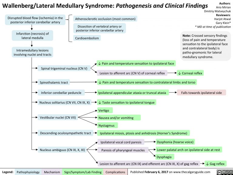 Wallenburg/Lateral Medullary Syndrome: Pathogenesis and Clinical ...