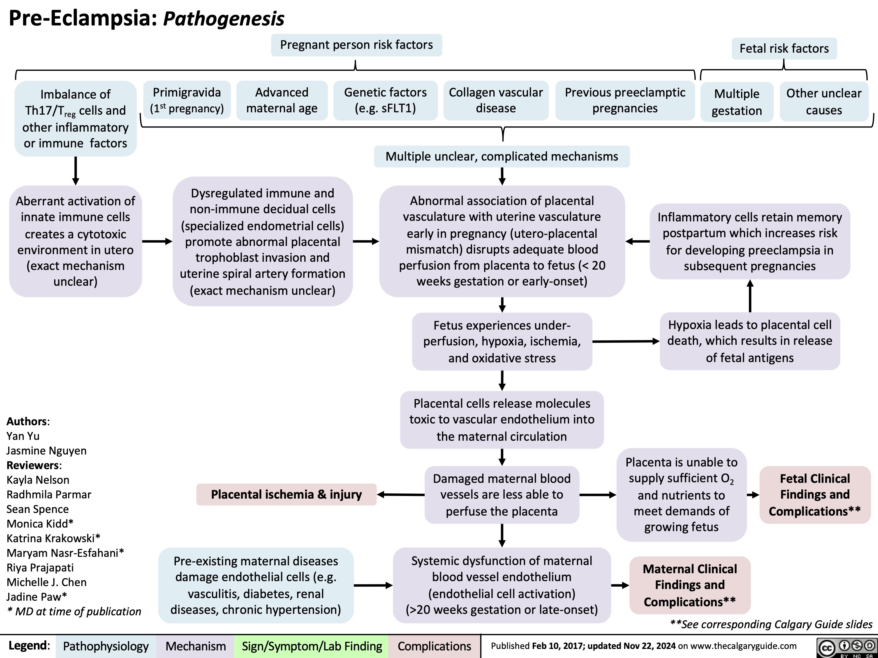 Pre-Eclampsia: Pathogenesis
Pregnant person risk factors
Fetal risk factors
            Imbalance of Th17/Treg cells and other inflammatory or immune factors
Aberrant activation of innate immune cells creates a cytotoxic environment in utero (exact mechanism unclear)
Primigravida (1st pregnancy)
Advanced maternal age
Genetic factors (e.g. sFLT1)
Collagen vascular disease
Previous preeclamptic pregnancies
Multiple gestation
Other unclear causes
   Dysregulated immune and non-immune decidual cells (specialized endometrial cells) promote abnormal placental trophoblast invasion and uterine spiral artery formation (exact mechanism unclear)
Multiple unclear, complicated mechanisms
Abnormal association of placental vasculature with uterine vasculature early in pregnancy (utero-placental mismatch) disrupts adequate blood perfusion from placenta to fetus (< 20 weeks gestation or early-onset)
Fetus experiences under- perfusion, hypoxia, ischemia, and oxidative stress
Placental cells release molecules toxic to vascular endothelium into the maternal circulation
Damaged maternal blood vessels are less able to perfuse the placenta
Systemic dysfunction of maternal blood vessel endothelium (endothelial cell activation) (>20 weeks gestation or late-onset)
Inflammatory cells retain memory postpartum which increases risk for developing preeclampsia in subsequent pregnancies
Hypoxia leads to placental cell death, which results in release of fetal antigens
        Authors:
Yan Yu
Jasmine Nguyen Reviewers:
Kayla Nelson
Radhmila Parmar
Sean Spence
Monica Kidd*
Katrina Krakowski* Maryam Nasr-Esfahani* Riya Prajapati
Michelle J. Chen
Jadine Paw*
* MD at time of publication
Placental ischemia & injury
Pre-existing maternal diseases damage endothelial cells (e.g. vasculitis, diabetes, renal diseases, chronic hypertension)
Placenta is unable to supply sufficient O2 and nutrients to meet demands of growing fetus
Maternal Clinical Findings and Complications**
Fetal Clinical
Findings and Complications**
        **See corresponding Calgary Guide slides
 Legend:
 Pathophysiology
 Mechanism
Sign/Symptom/Lab Finding
 Complications
 Published Feb 10, 2017; updated Nov 22, 2024 on www.thecalgaryguide.com
  