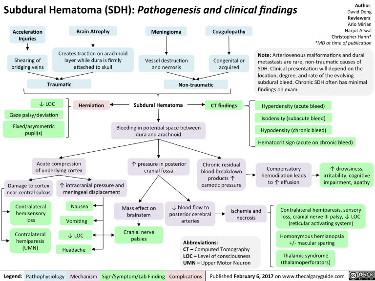 Subdural Hematoma: Pathogenesis and Clinical Findings | Calgary Guide