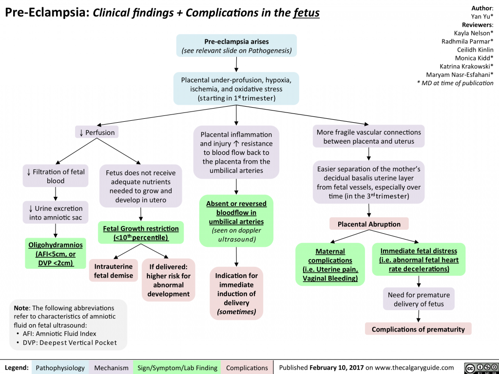 Pre-Eclampsia: Clinical findings + Complications in the fetus | Calgary ...