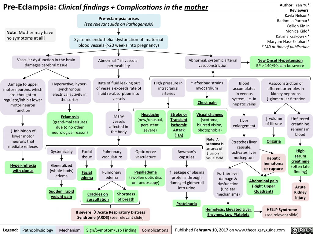 Pre-Eclampsia: Clinical findings + Complications in the mother ...